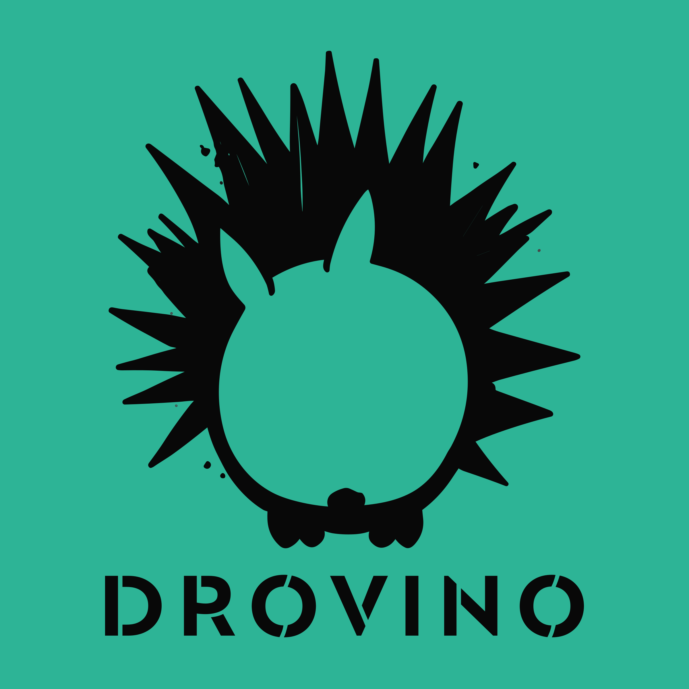 Логотип компании «DROVINO»