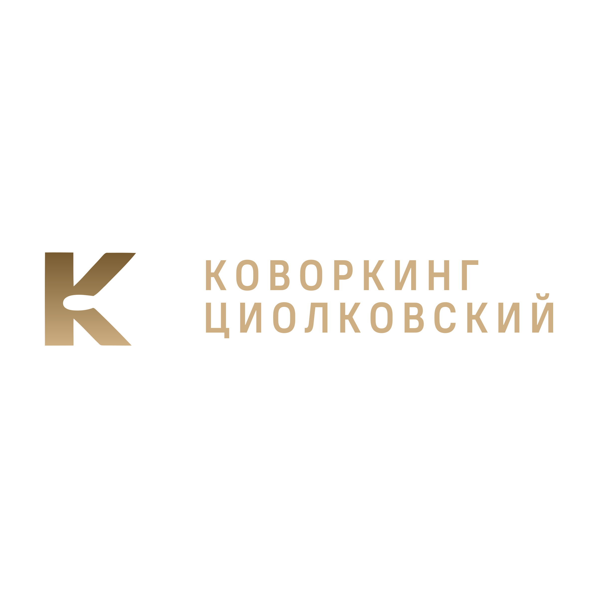 Логотип компании «коворкинг Циолковский»