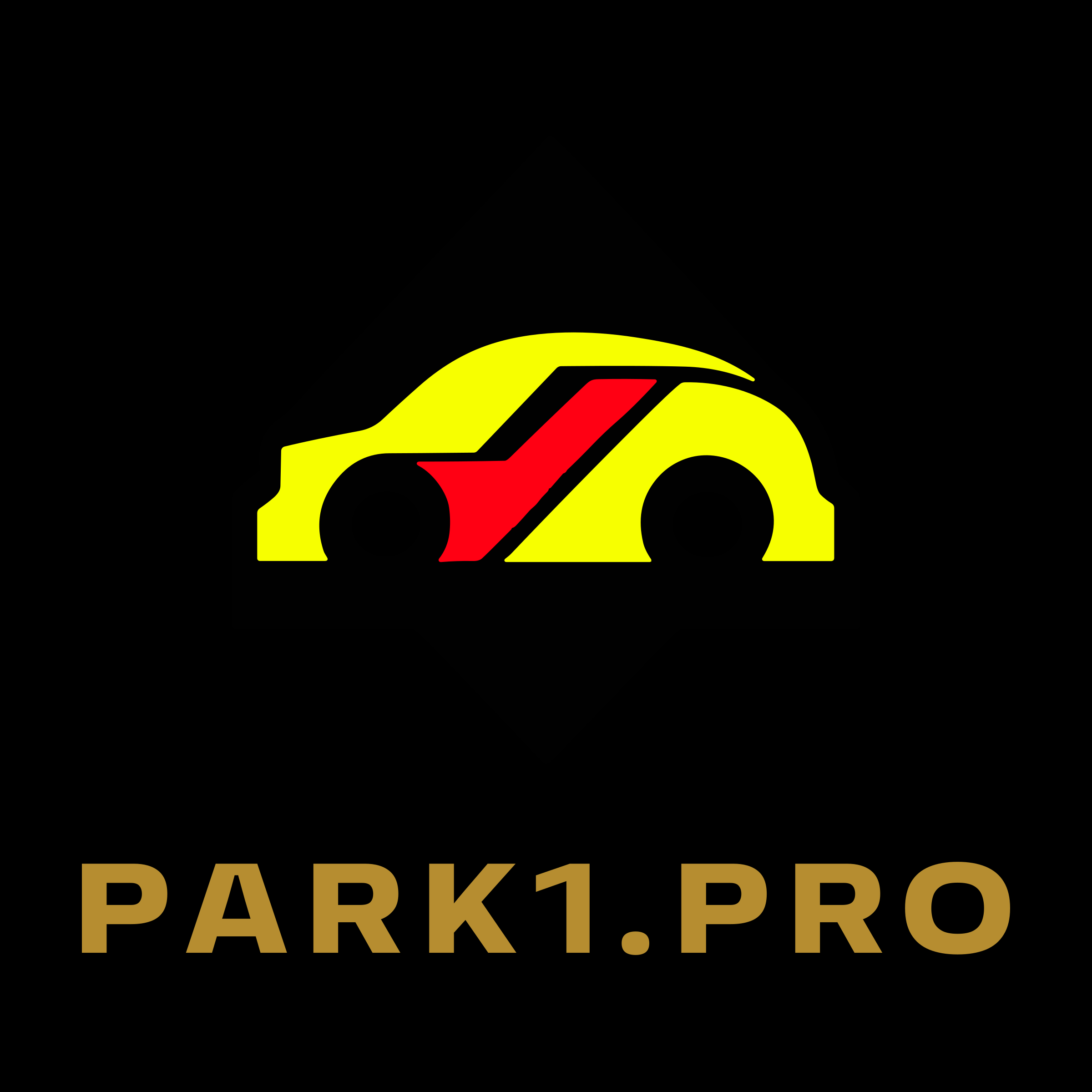 Логотип компании «PARK1.PRO»