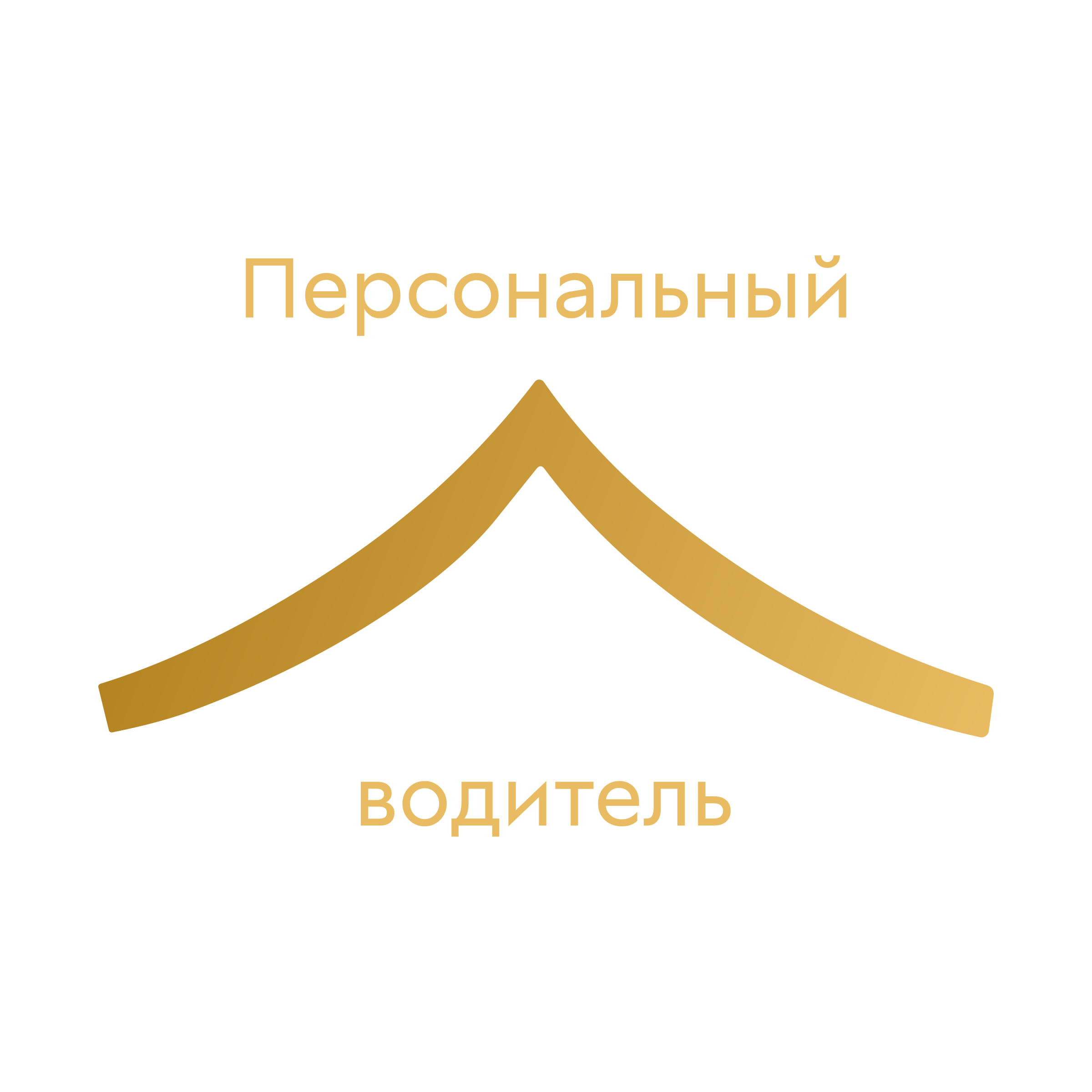 Company logo «Персональный водитель»