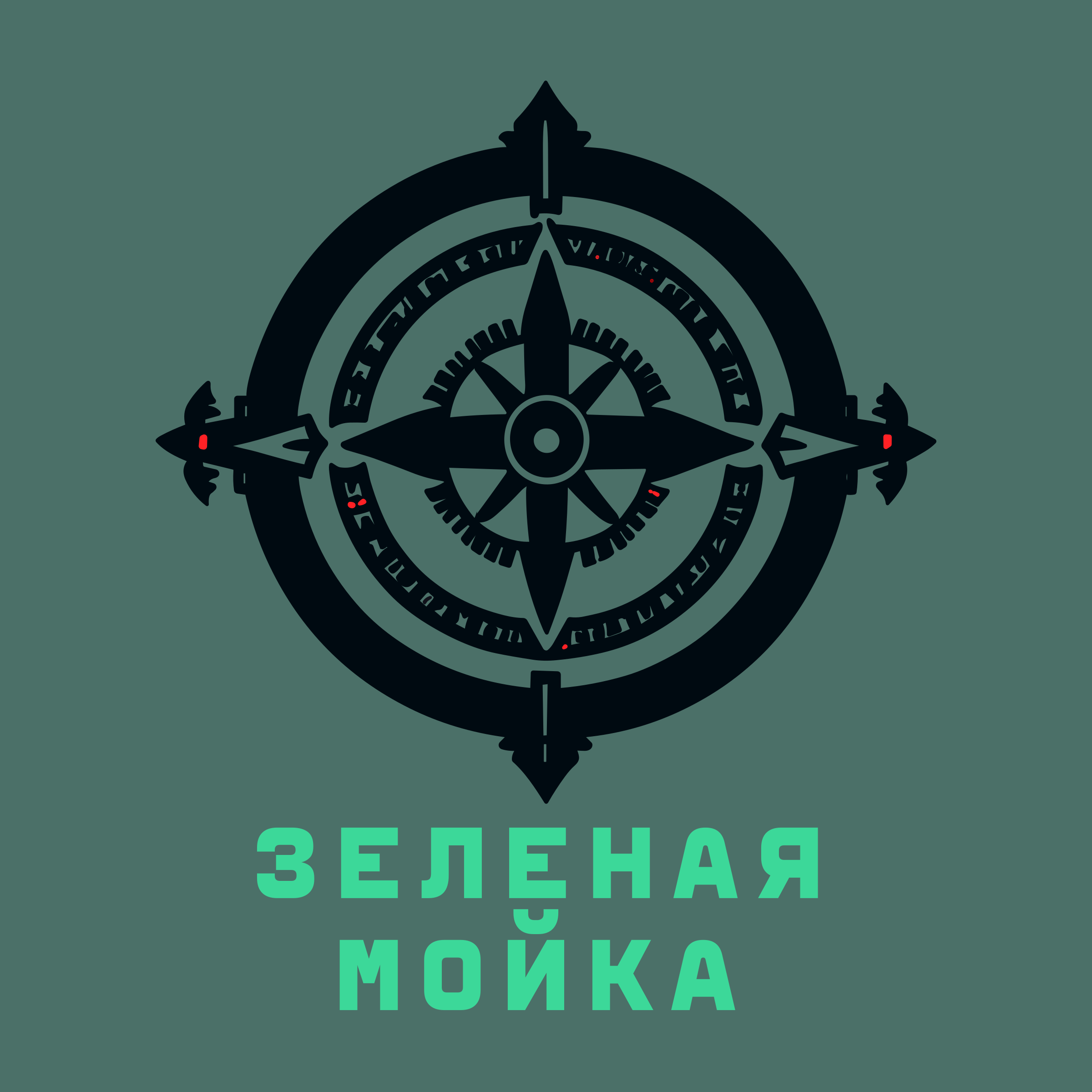 Company logo «зеленая мойка»