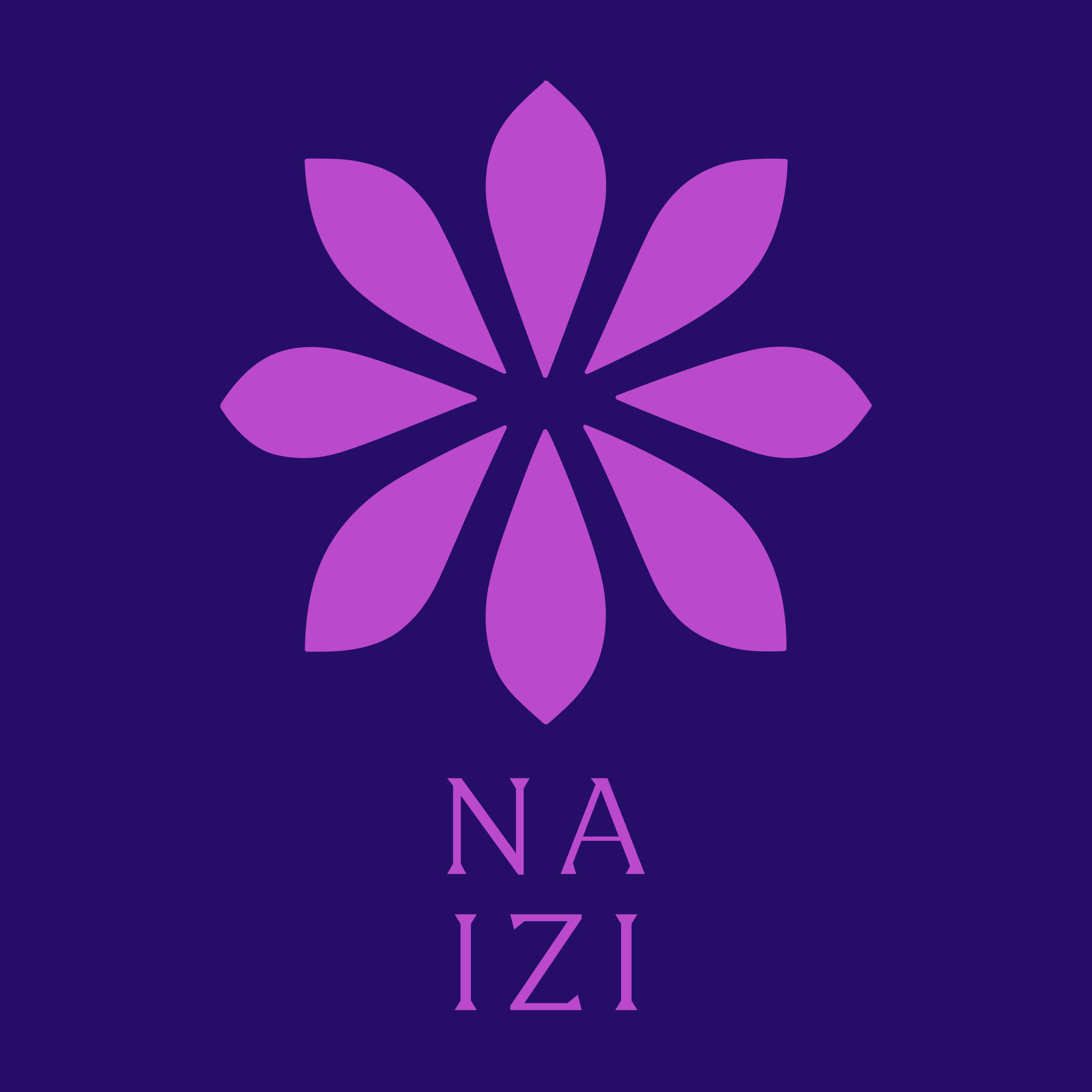 Логотип компании «Na Izi»