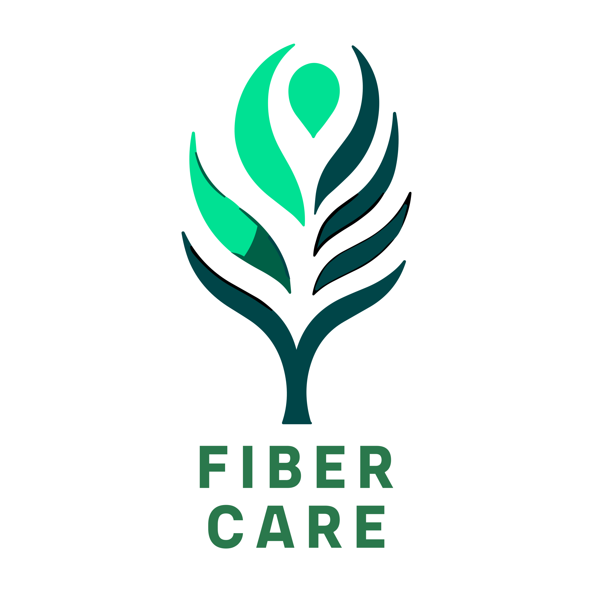 Company logo «Fiber Care»