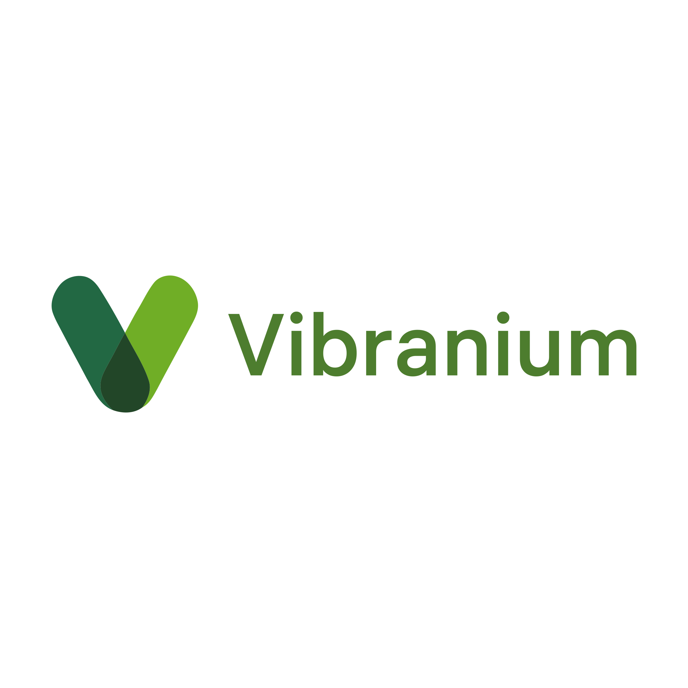 Логотип компании «Vibranium»