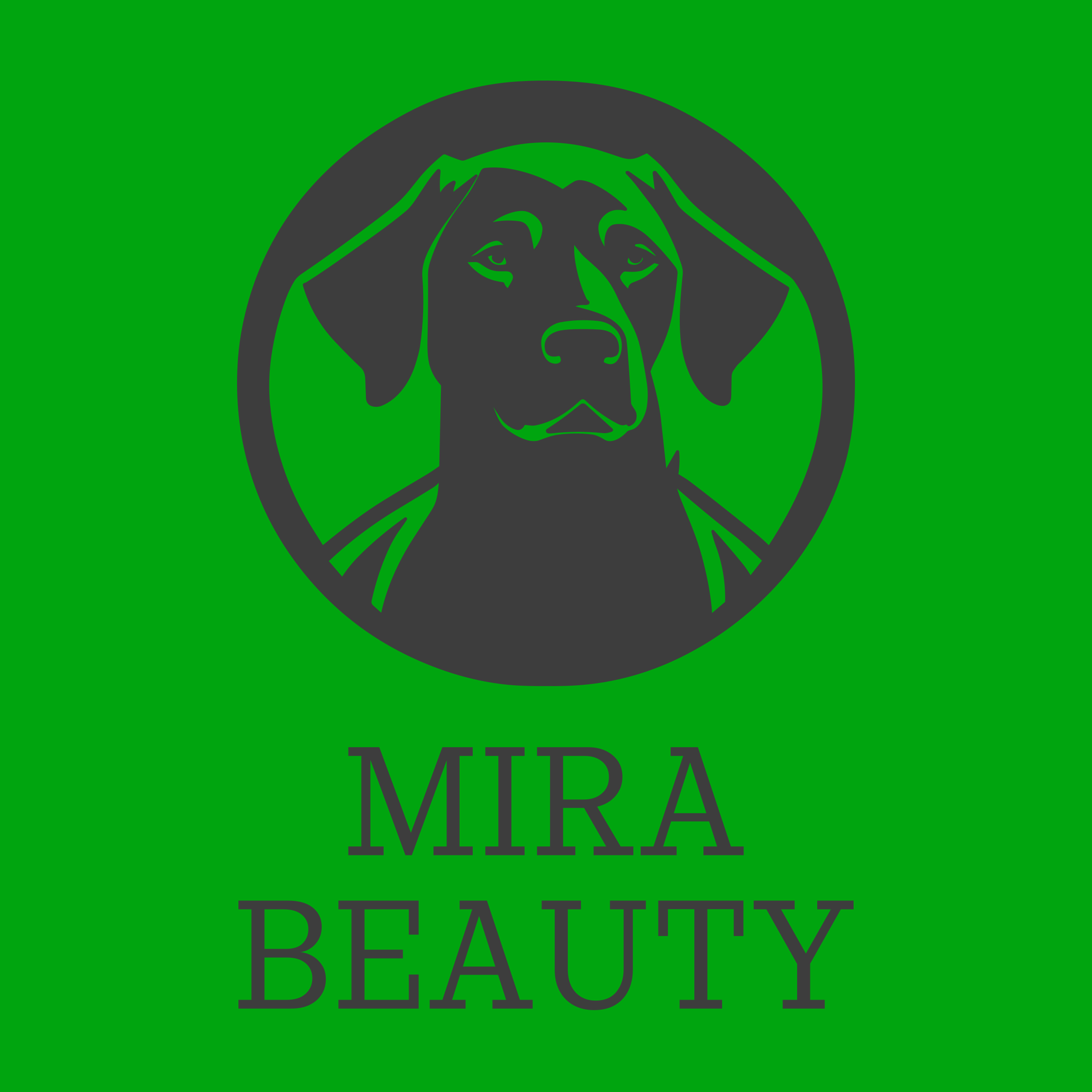 Логотип компании «MIRA BEAUTY»