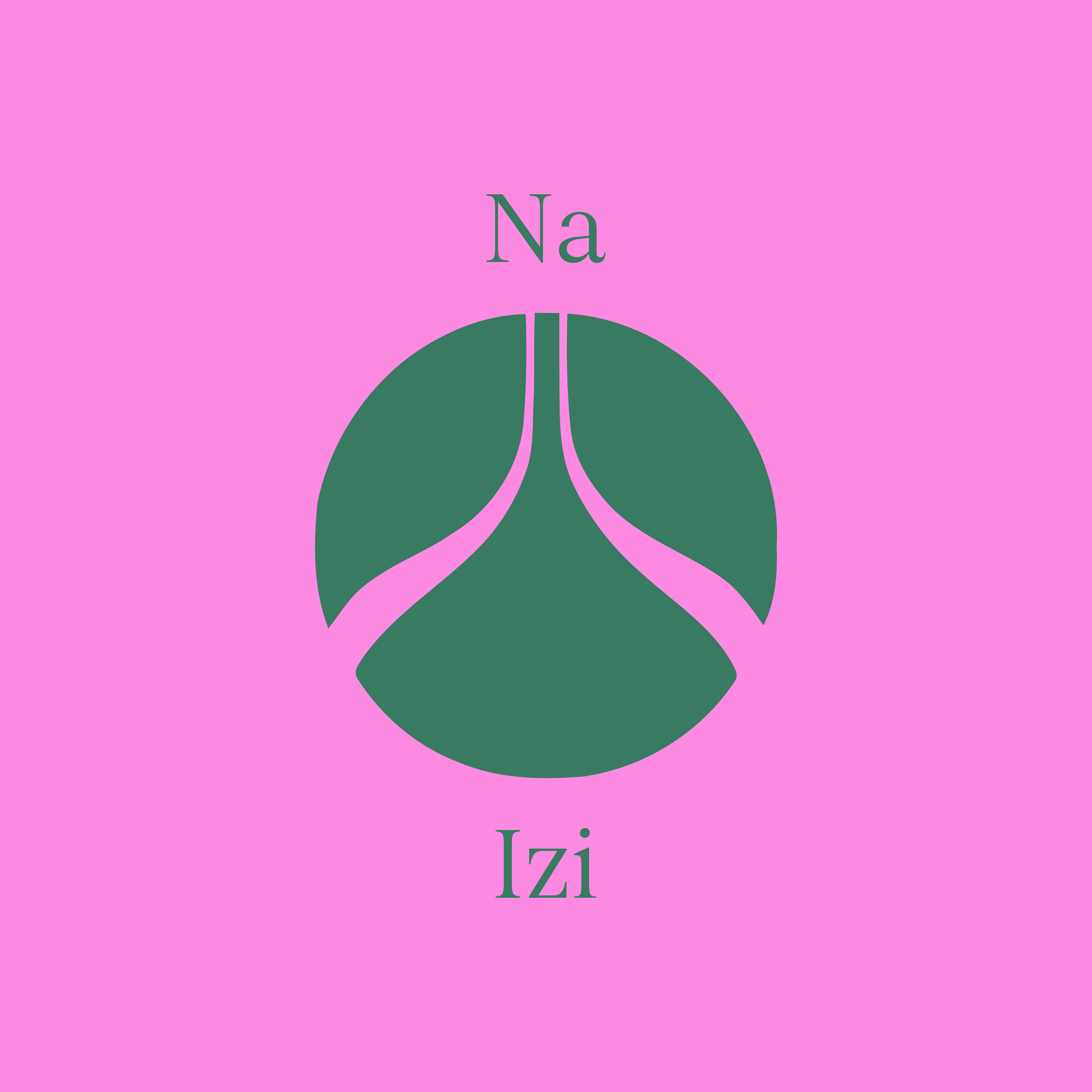 Логотип компании «Na Izi»