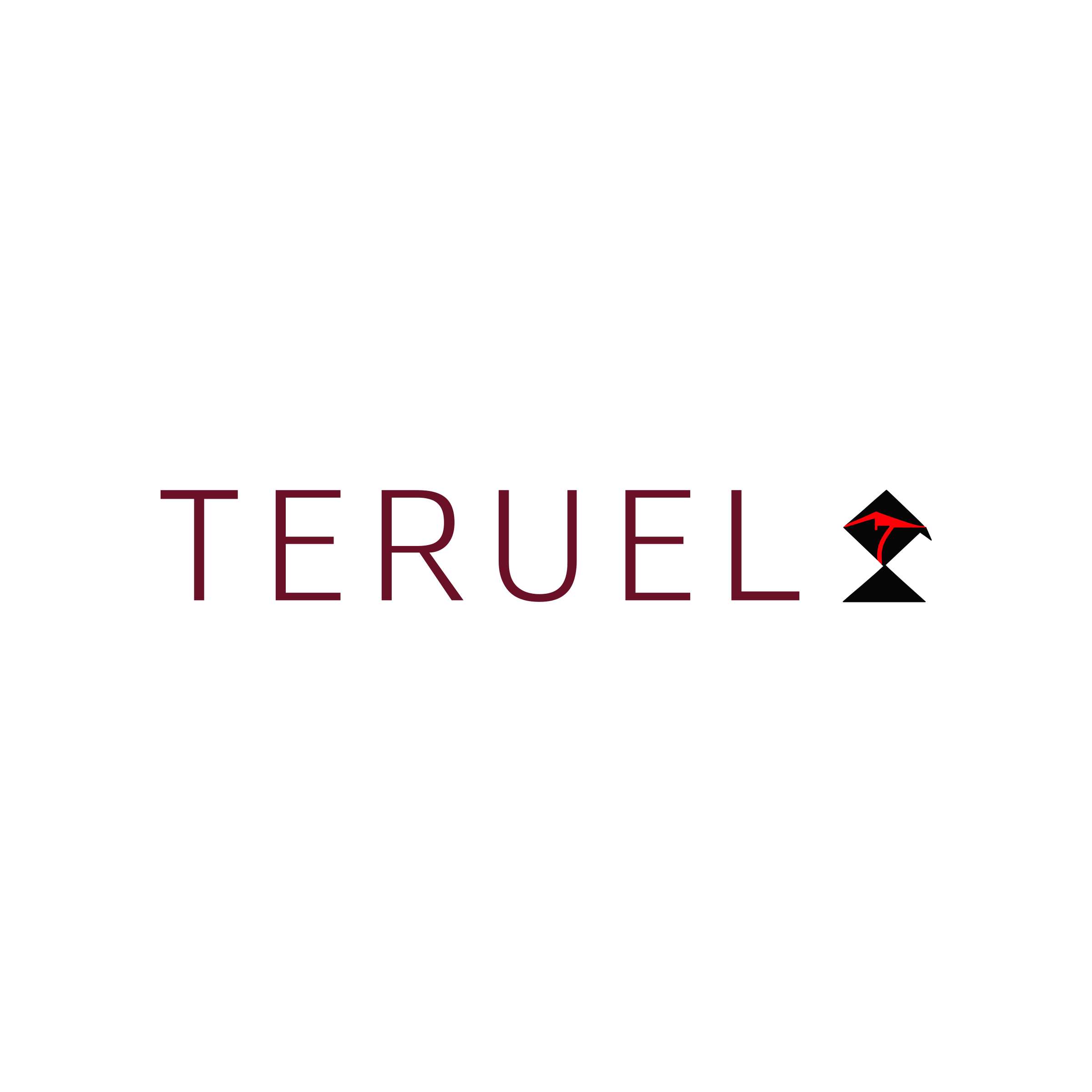 Company logo «TERUEL»