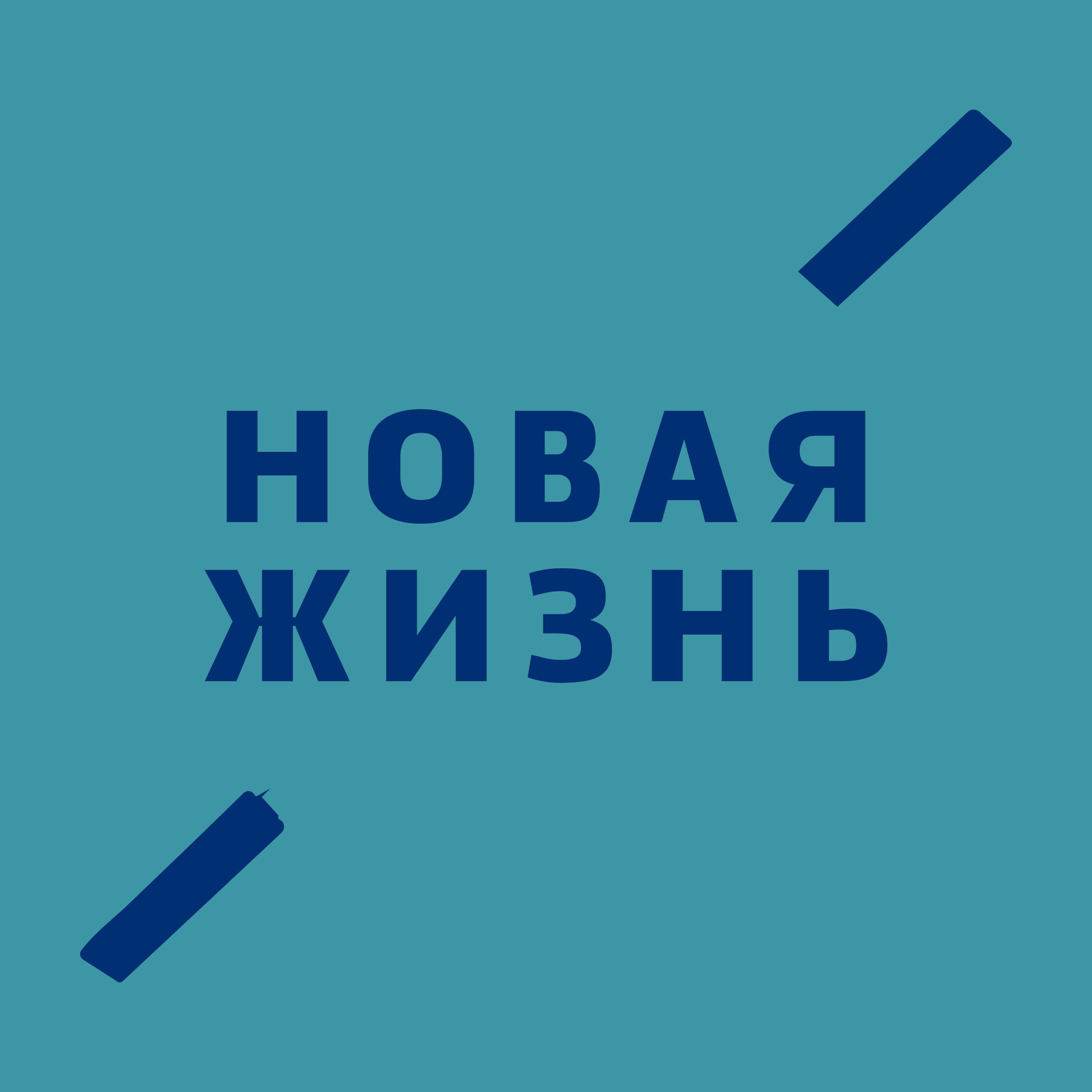 Логотип компании «Новая Жизнь»