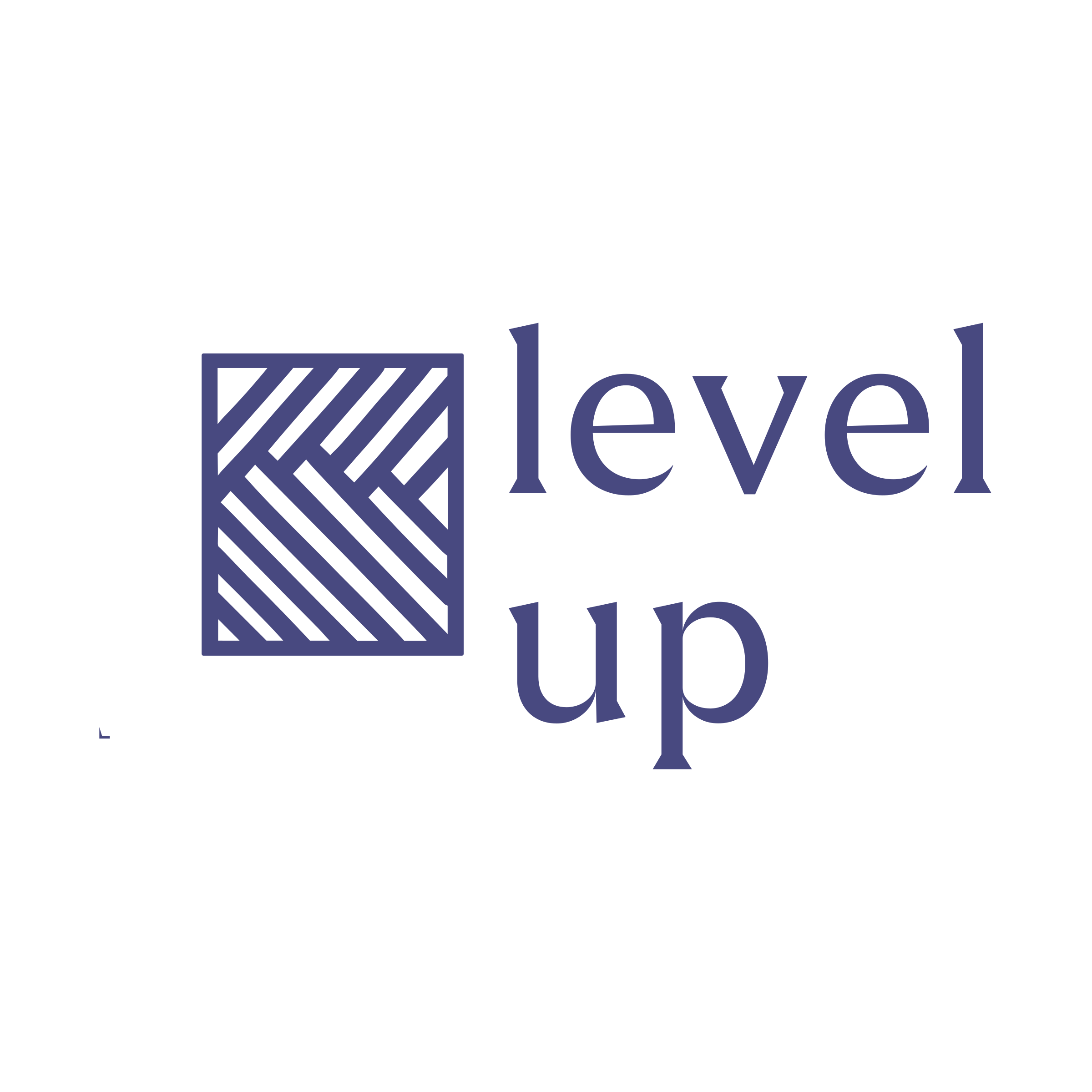 Company logo «level up»