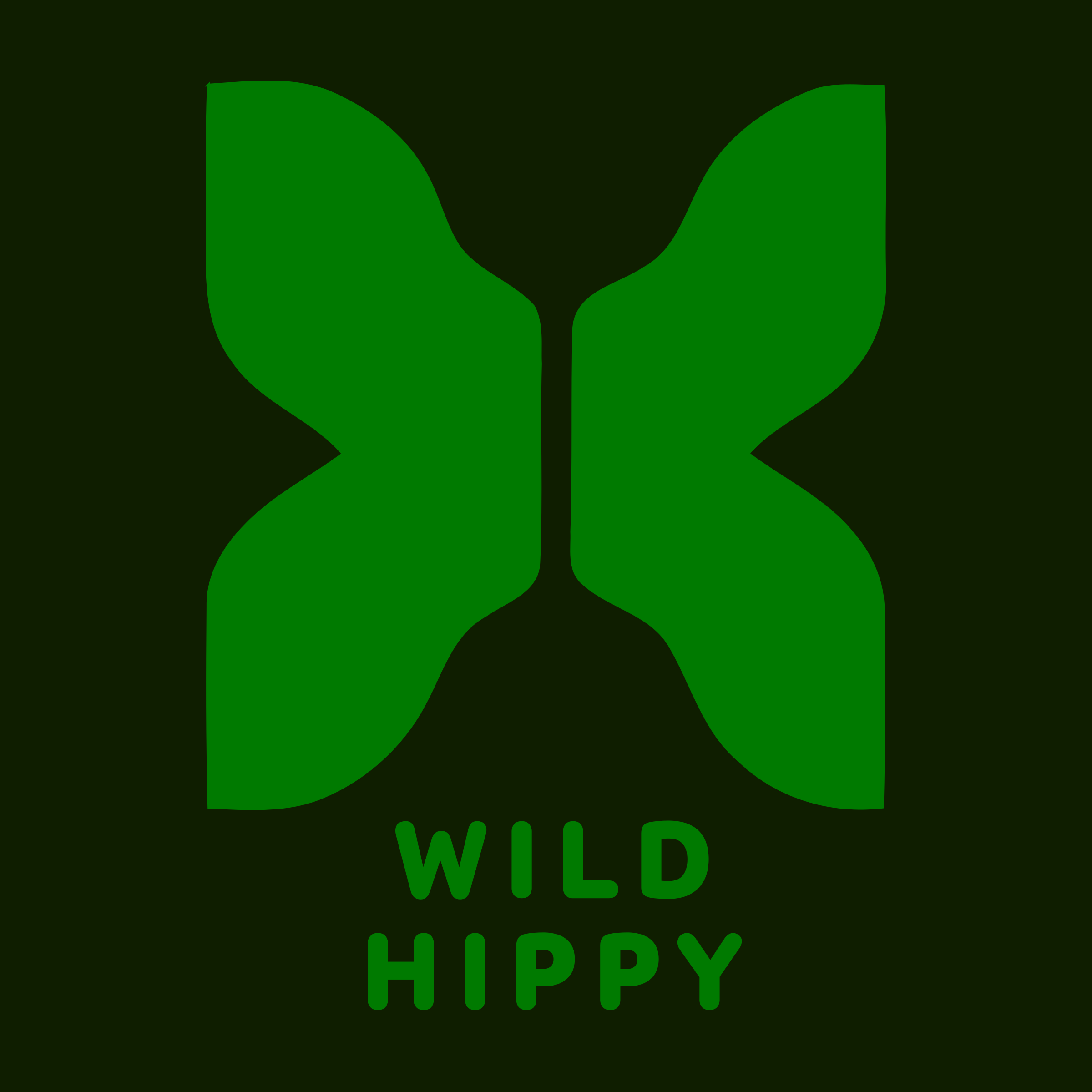 Company logo «Wild Hippy»