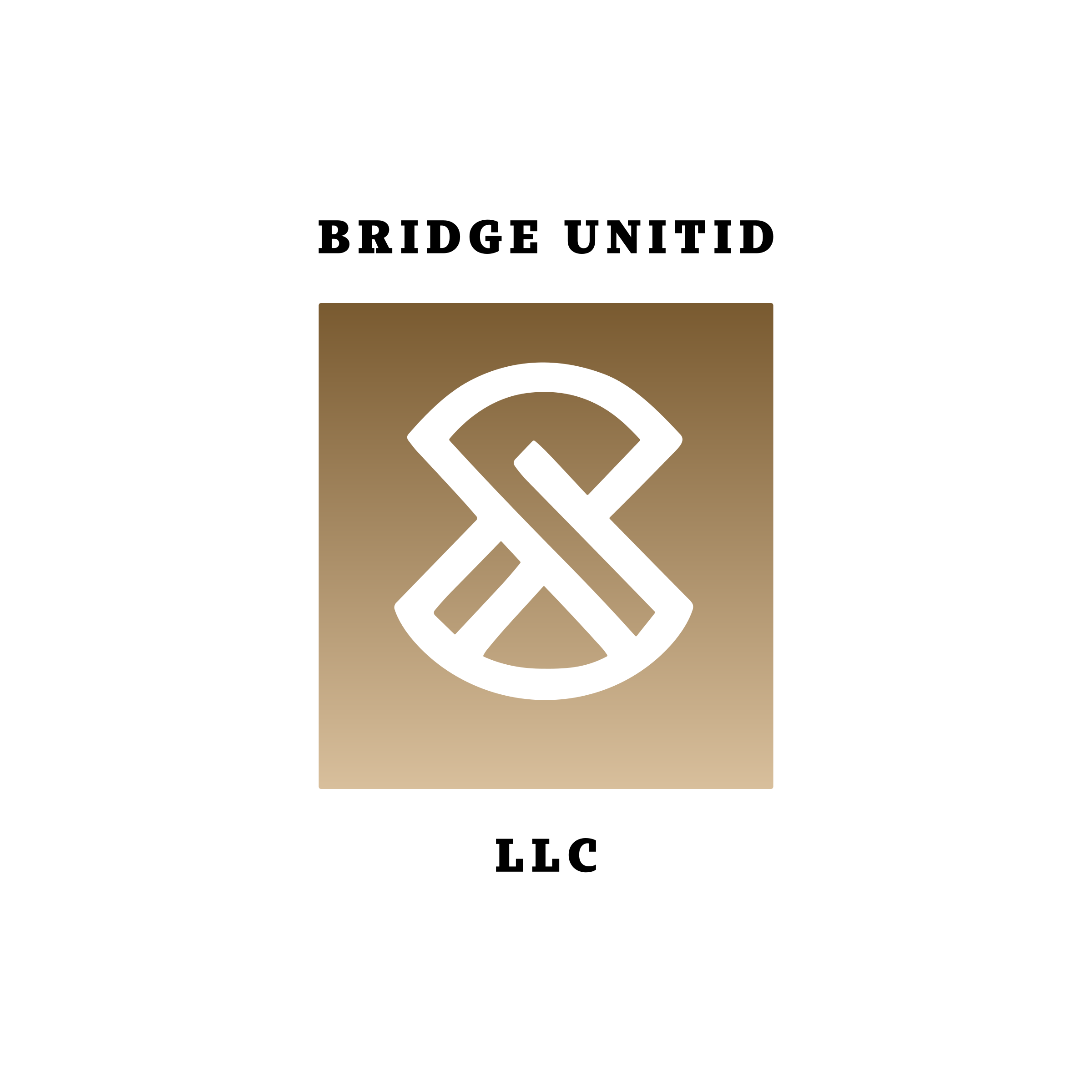 Логотип компании «BRIDGE UNITID LLC»