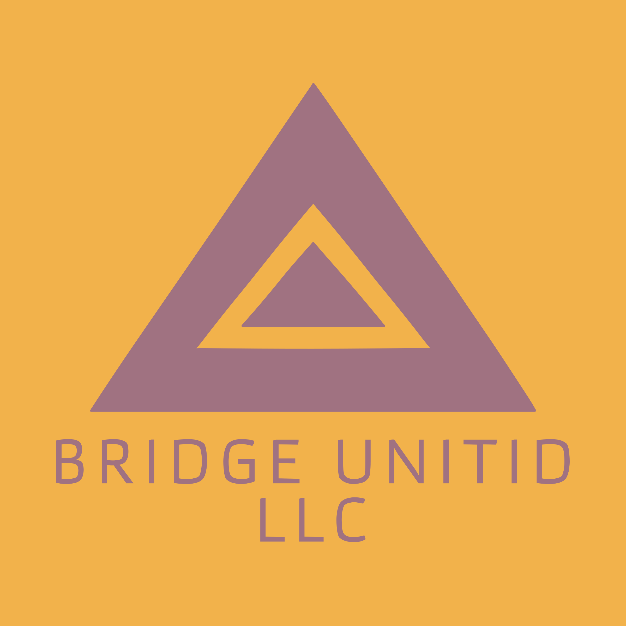 Логотип компании «BRIDGE UNITID LLC»