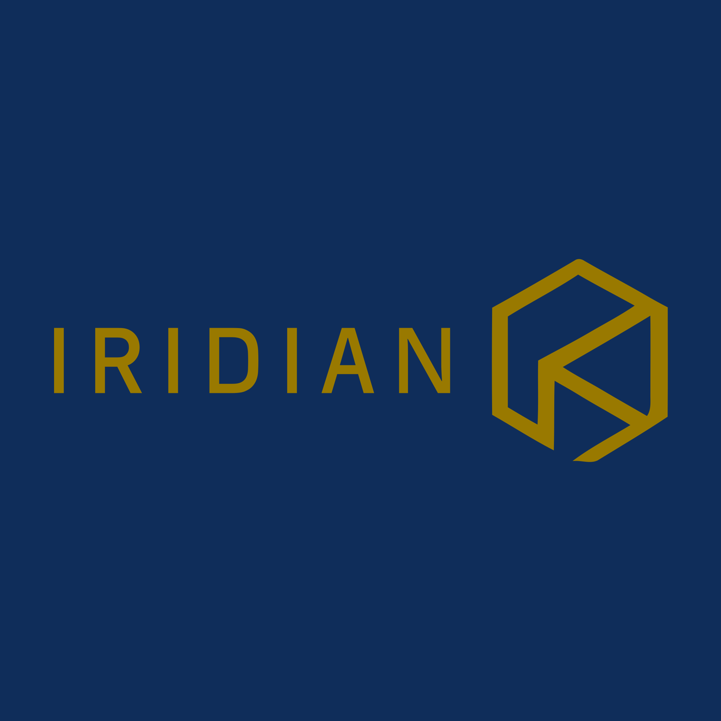 Company logo «iridian»