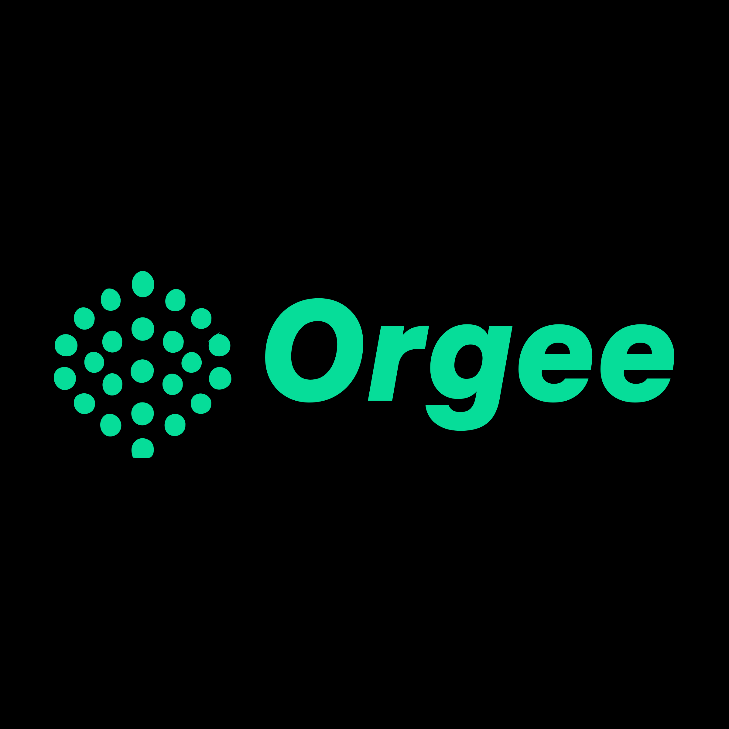 Company logo «Orgee»