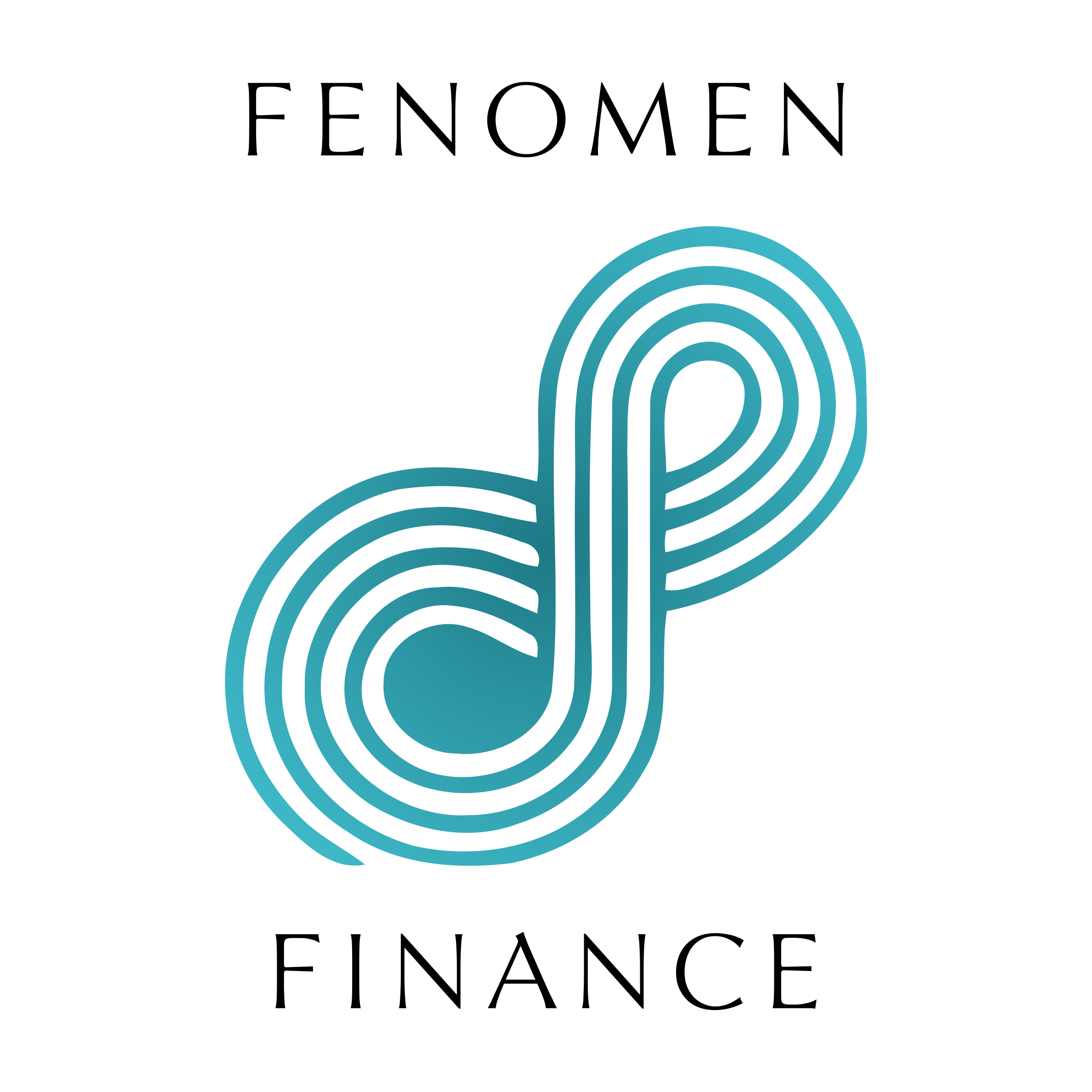 Company logo «FENOMEN FINANCE»