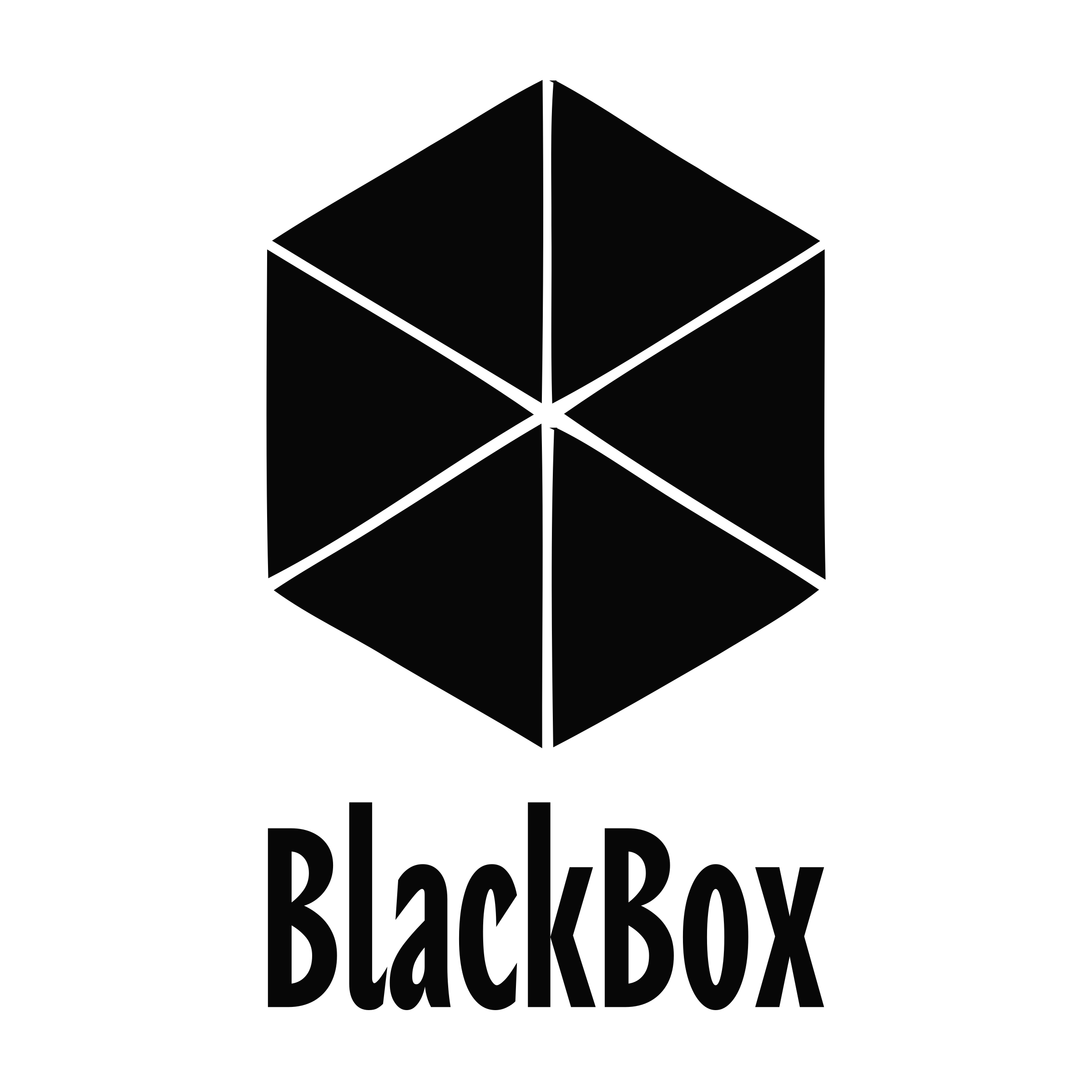 Company logo «BlackBox»