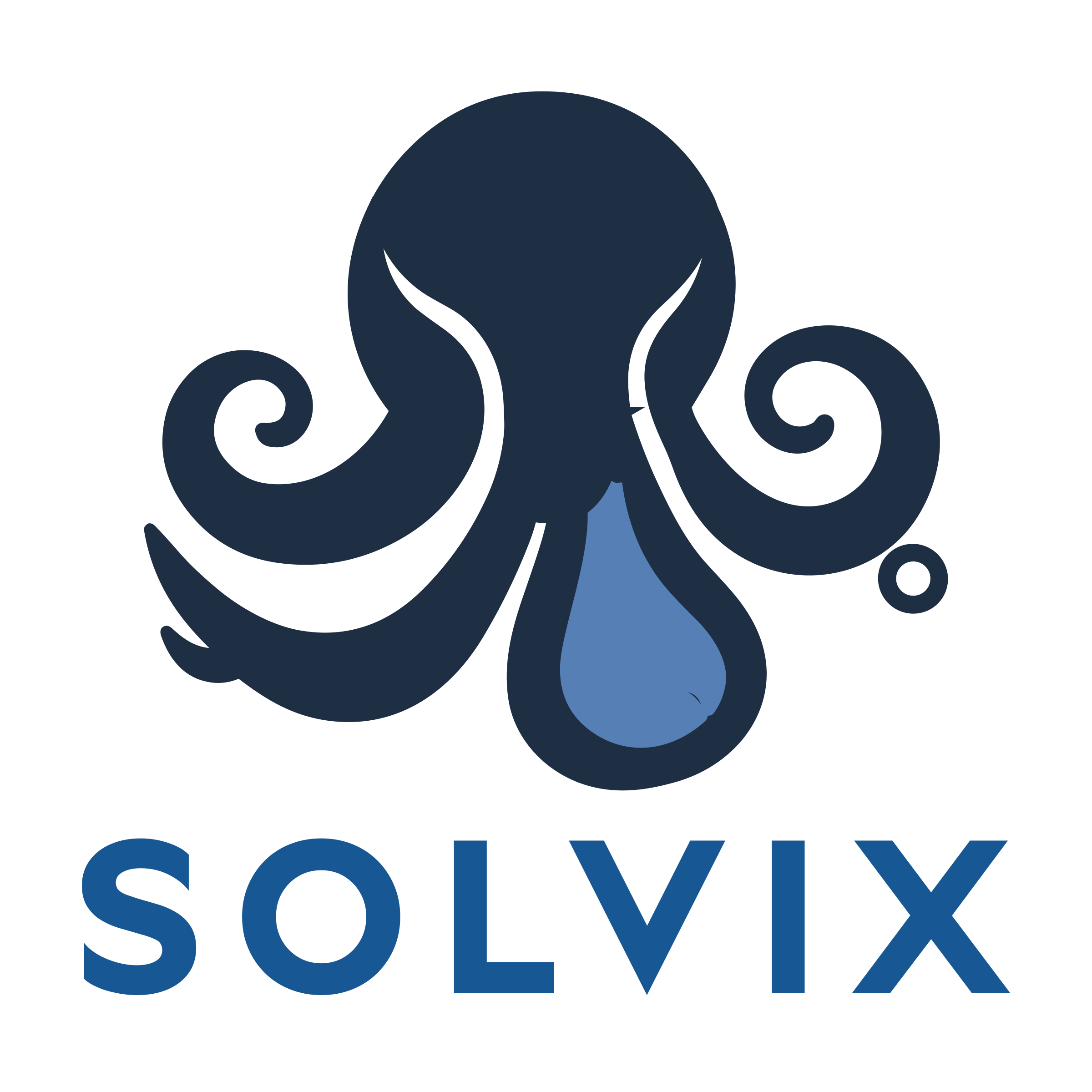 Company logo «SOLVIX»