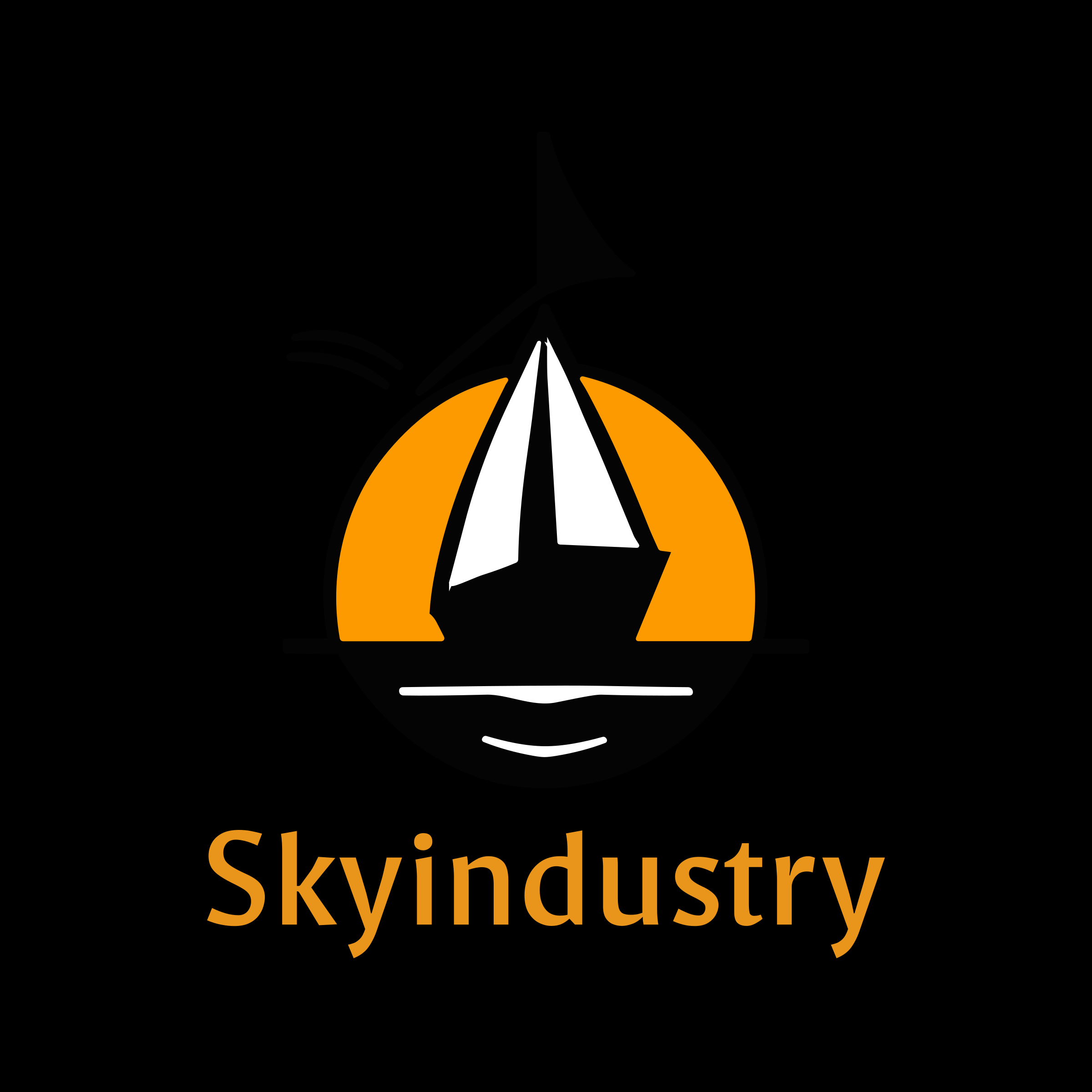 Company logo «Skyindustry»