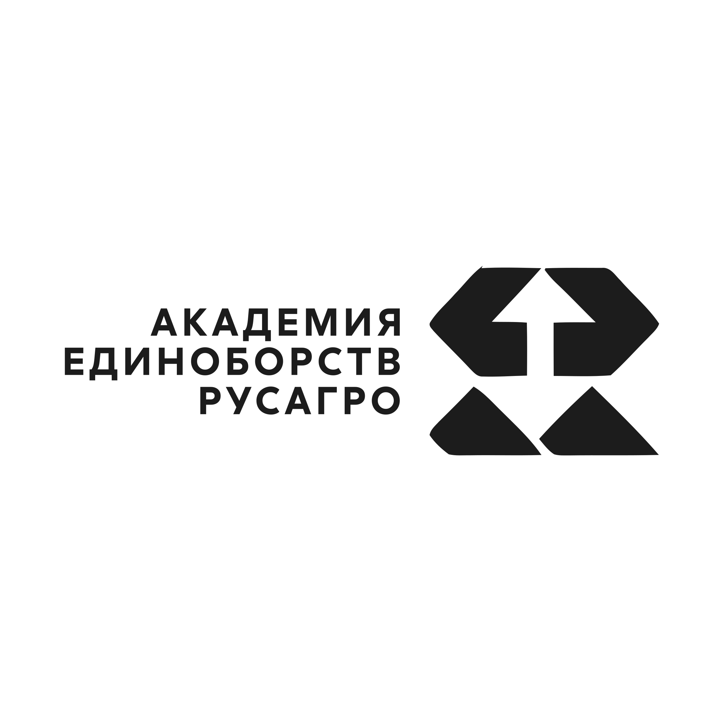 Логотип компании «Академия единоборств РУСАГРО»