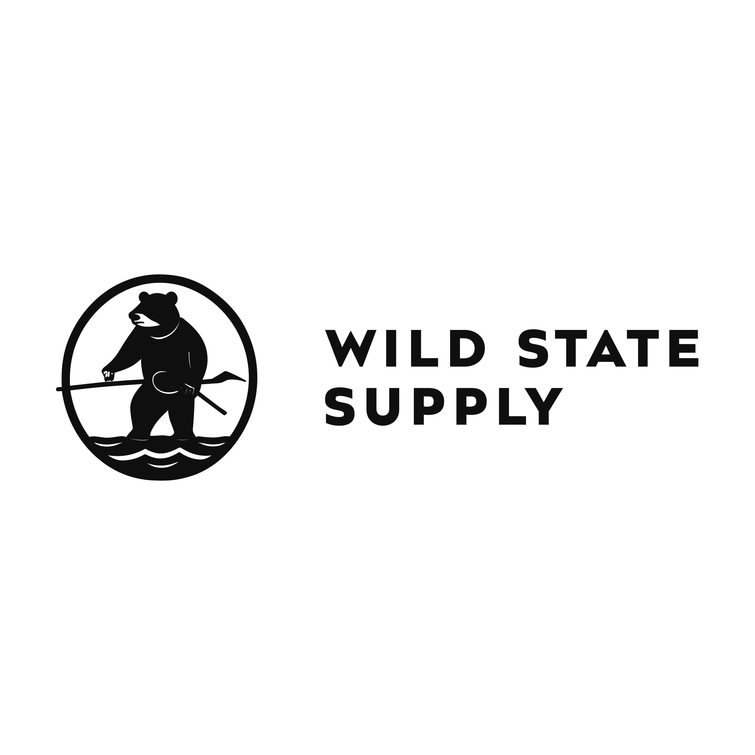 Логотип компании «Wild State Supply»