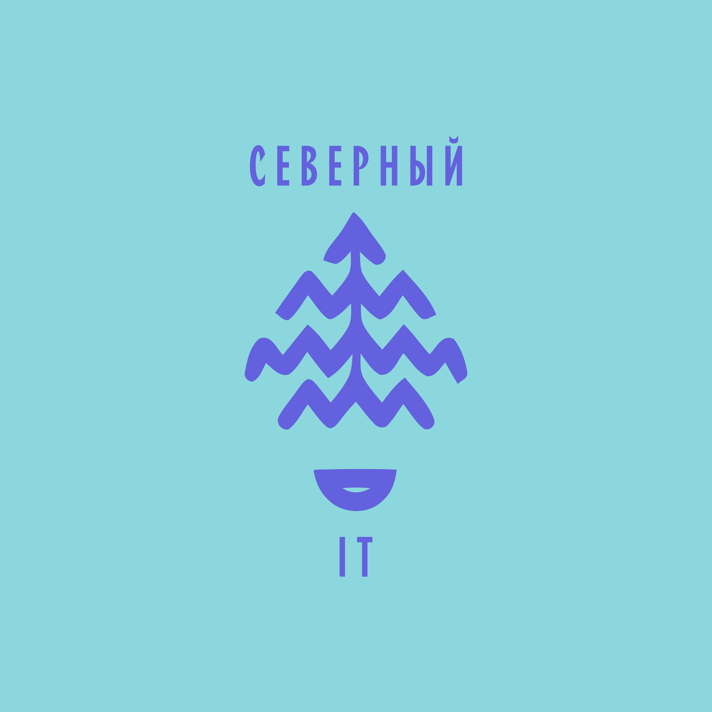 Логотип компании «Северный IT»