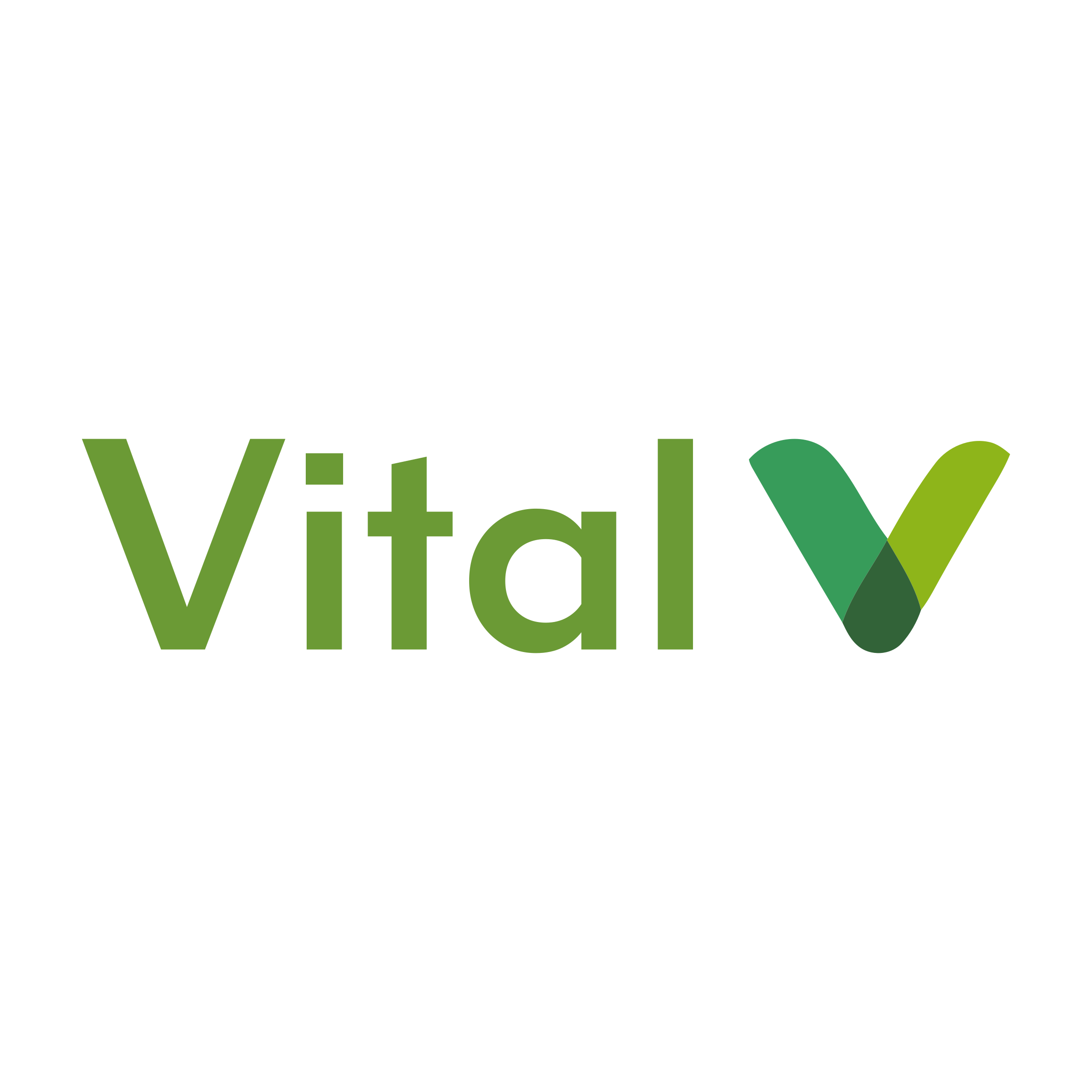 Логотип компании «Vital»