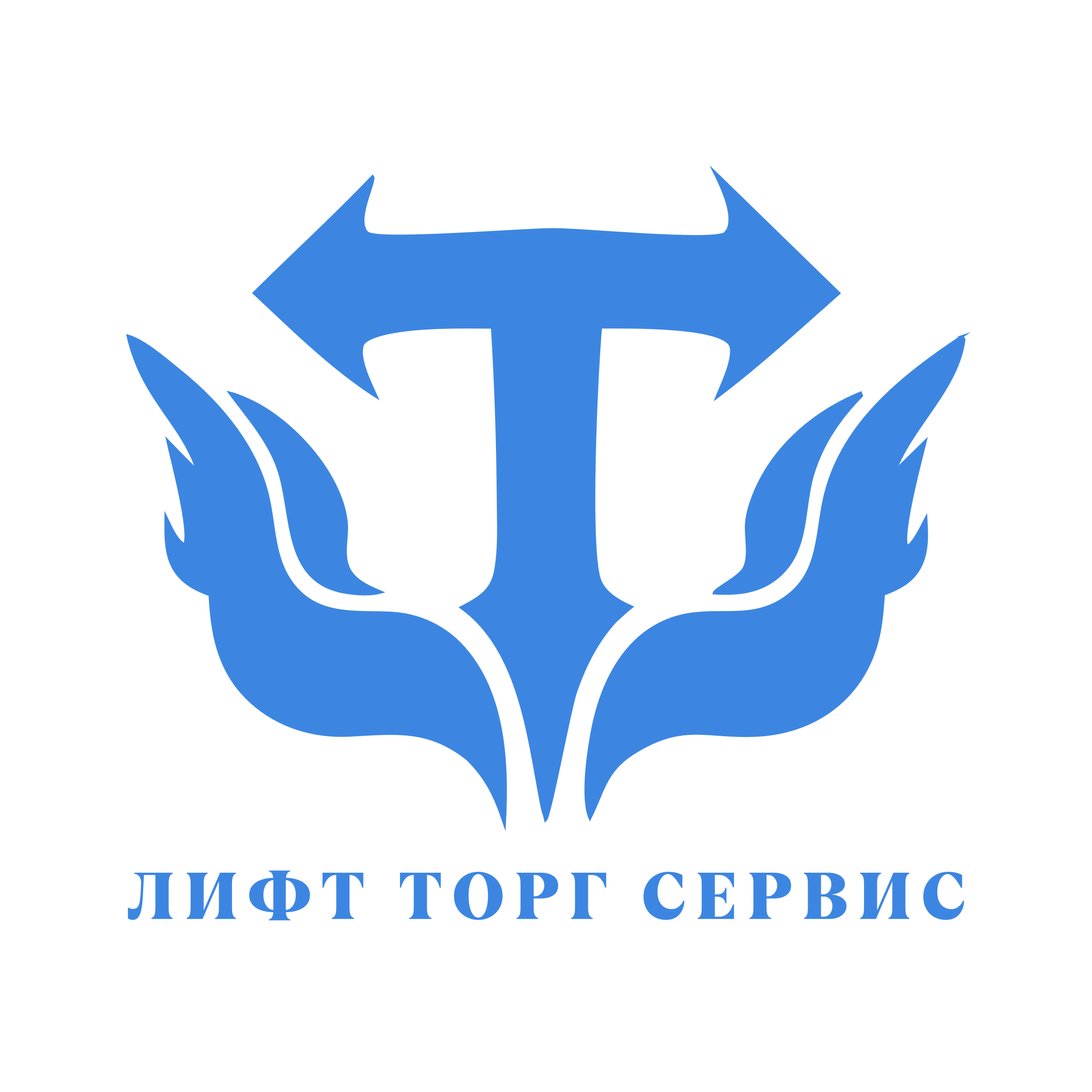 Логотип компании «Лифт Торг Сервис»