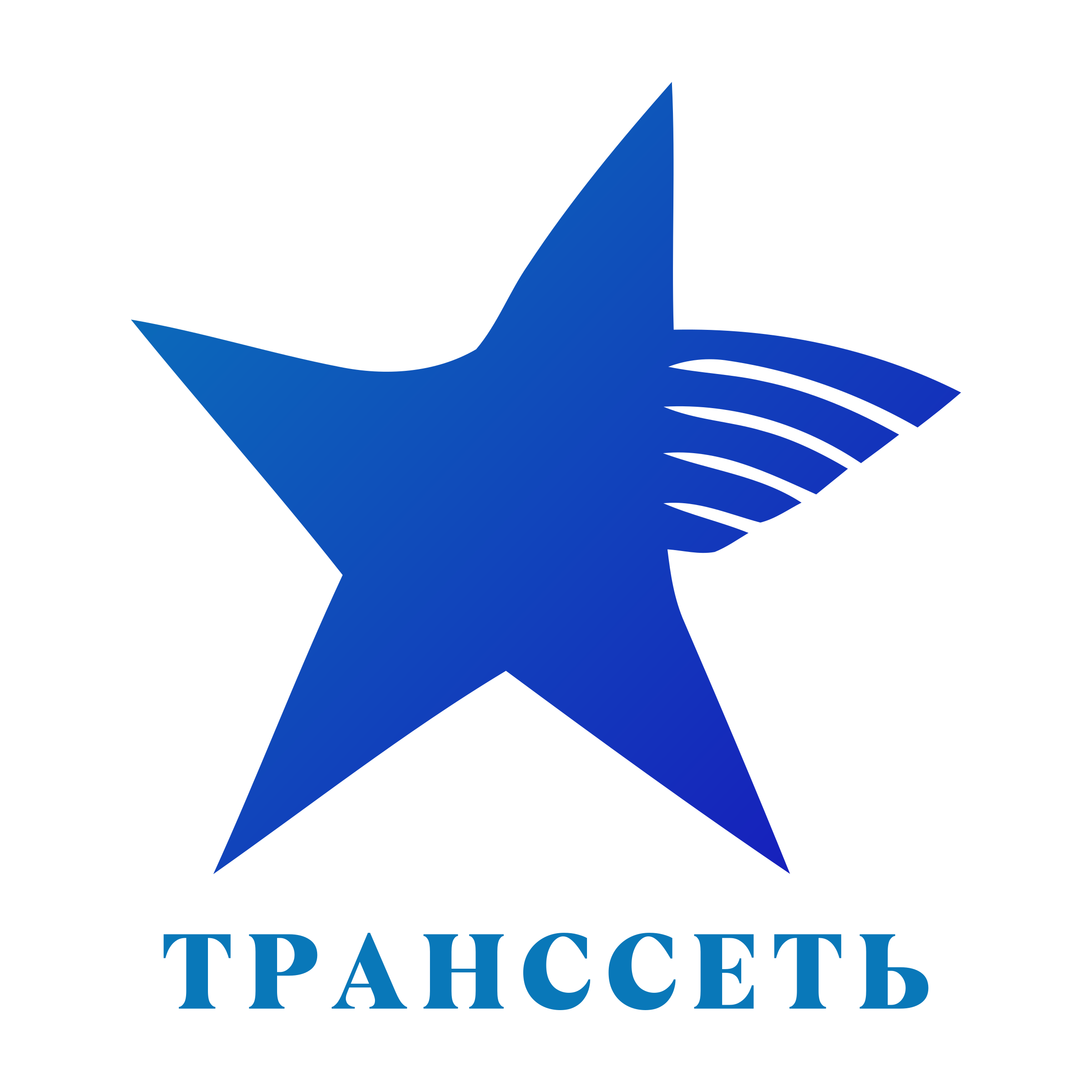 Логотип компании «ТРАНССЕТЬ»