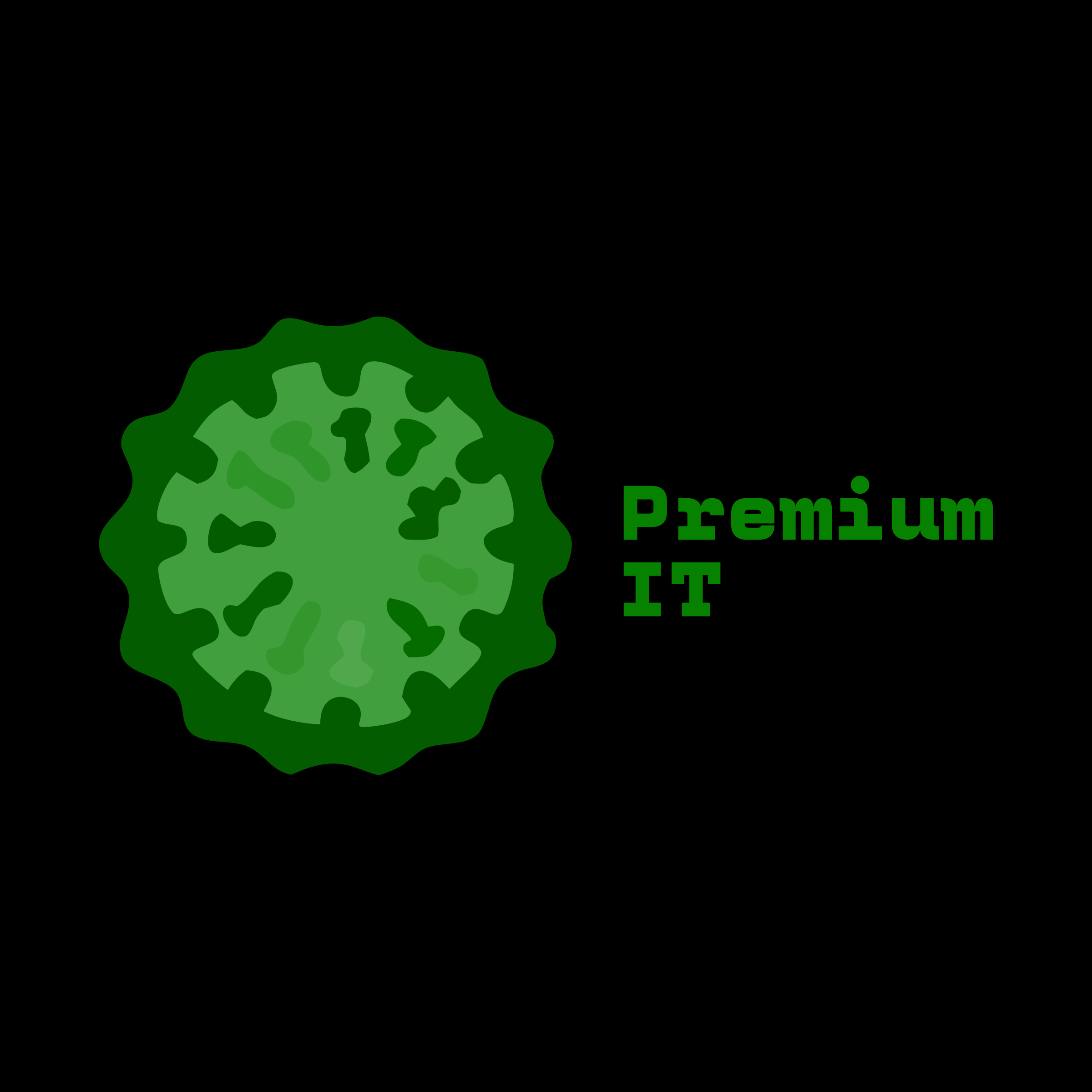 Company logo «Premium IT»