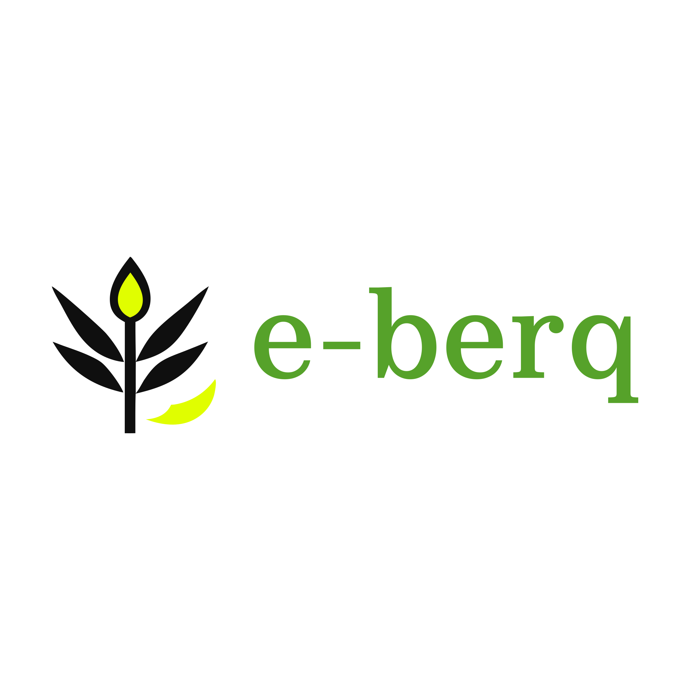 Company logo «e-berq»