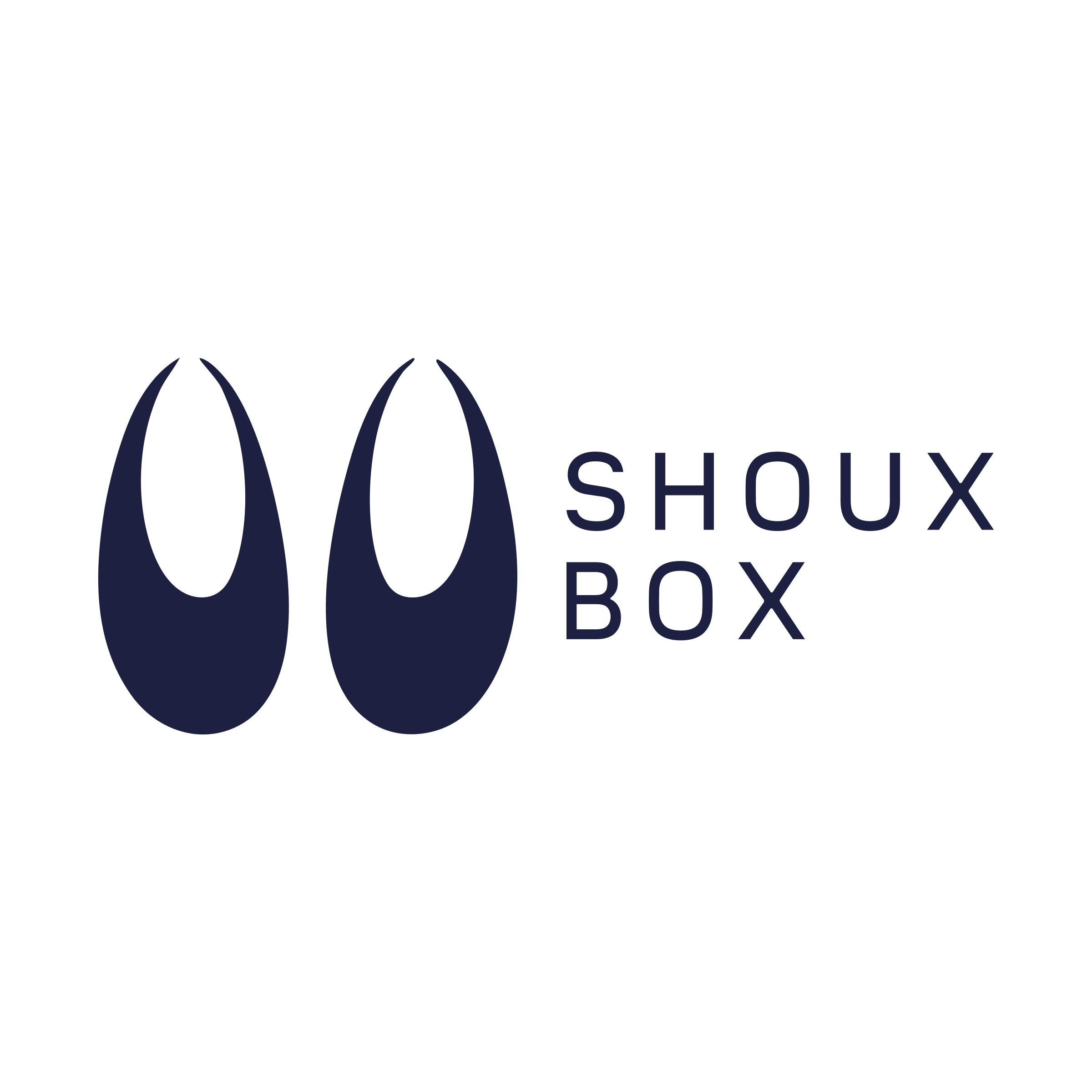 Company logo «Shoux box»