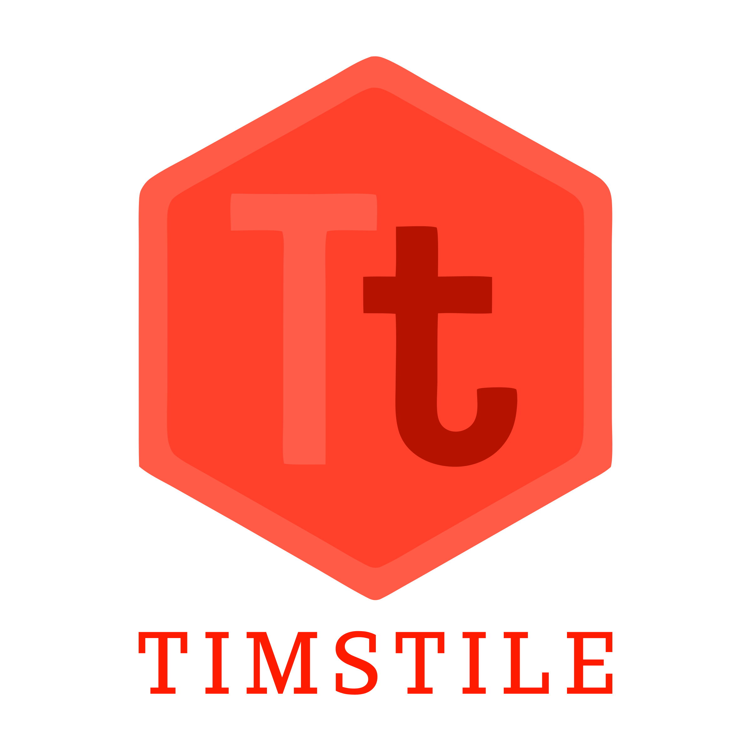 Логотип компании «TimsTile»