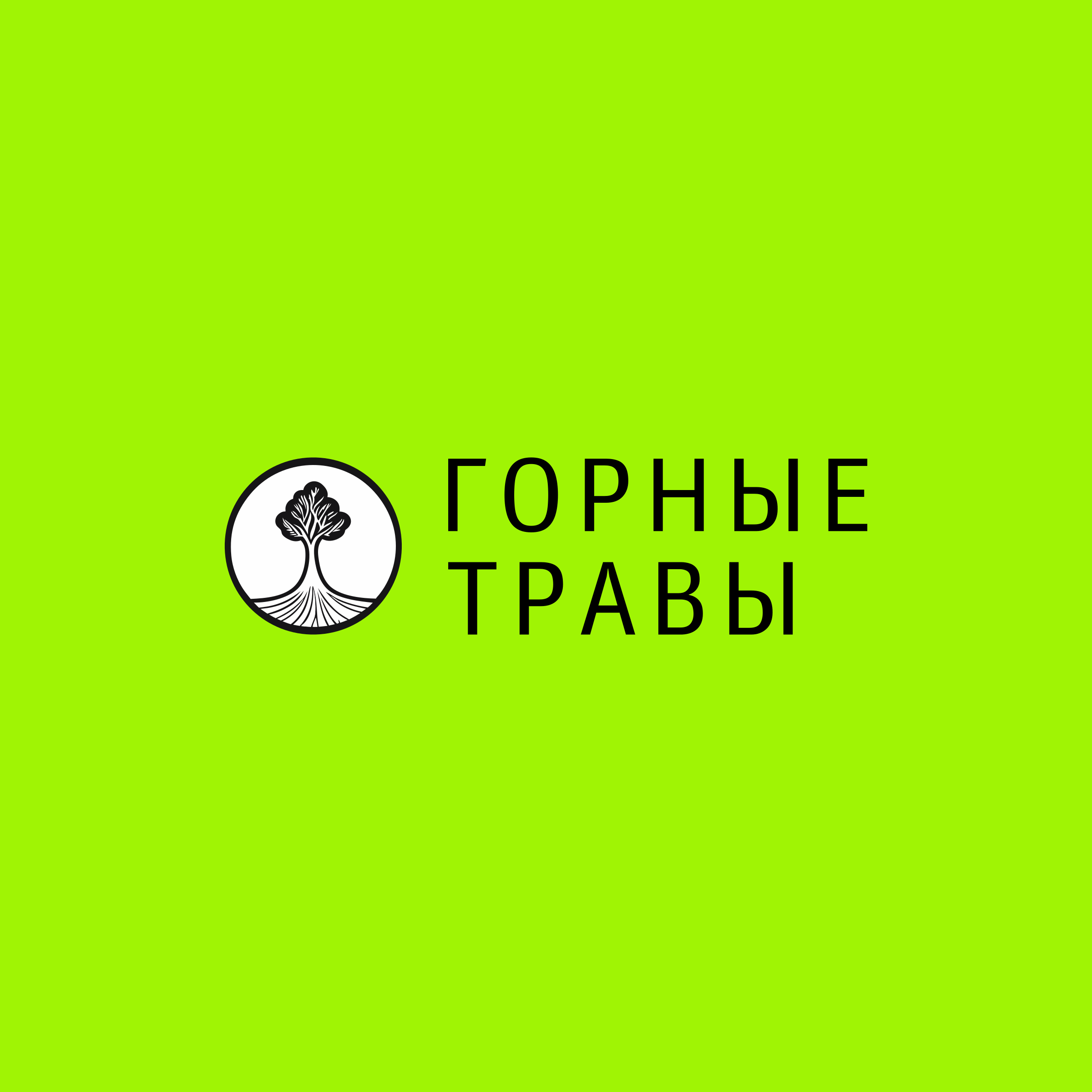 Логотип компании «горные травы»