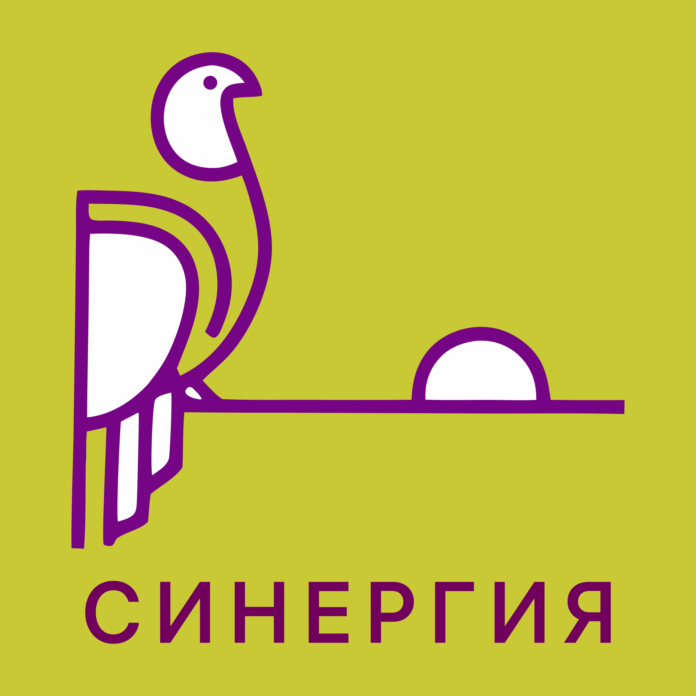 Логотип компании «Синергия»