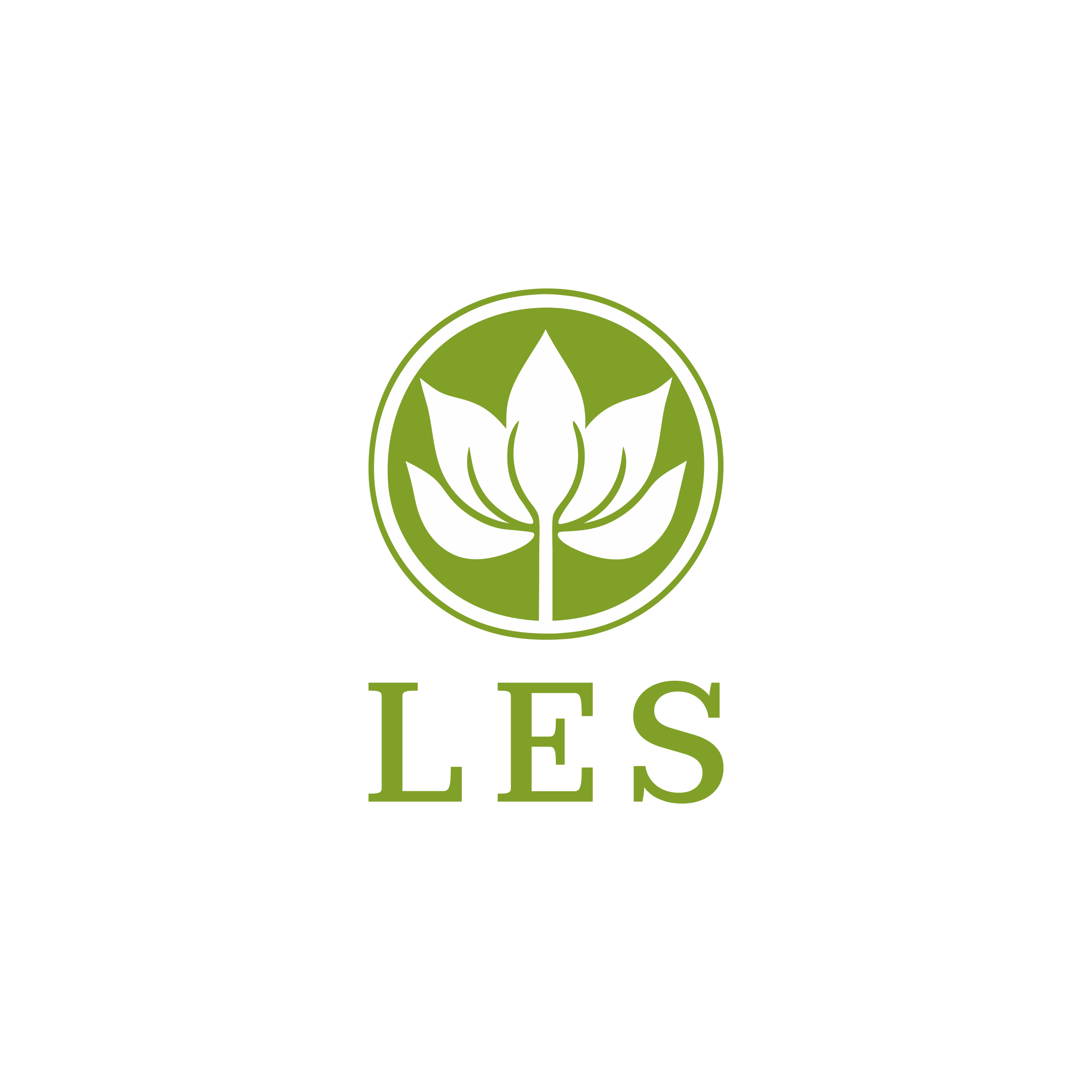 Company logo «LES»