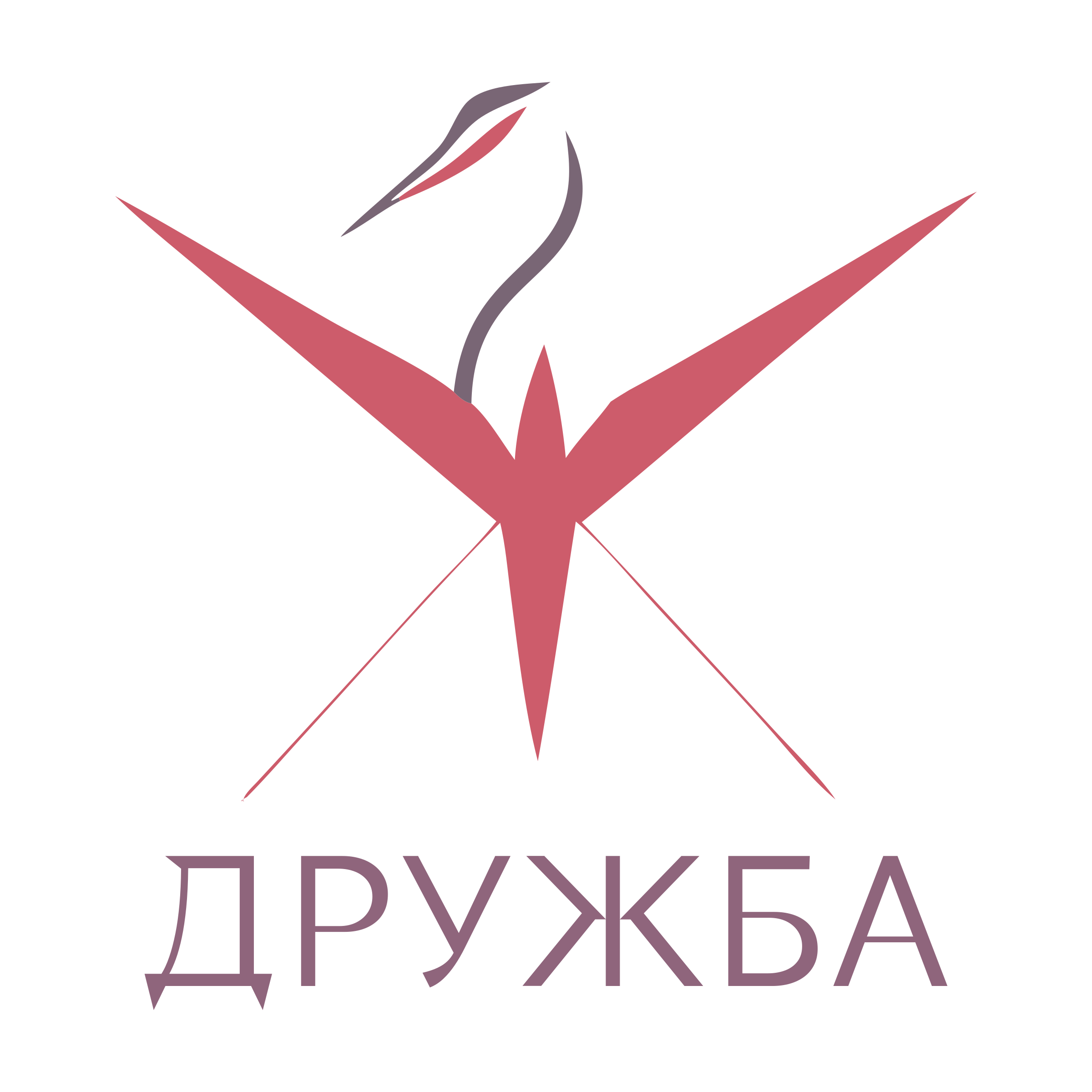 Логотип компании «ДРУЖБА»