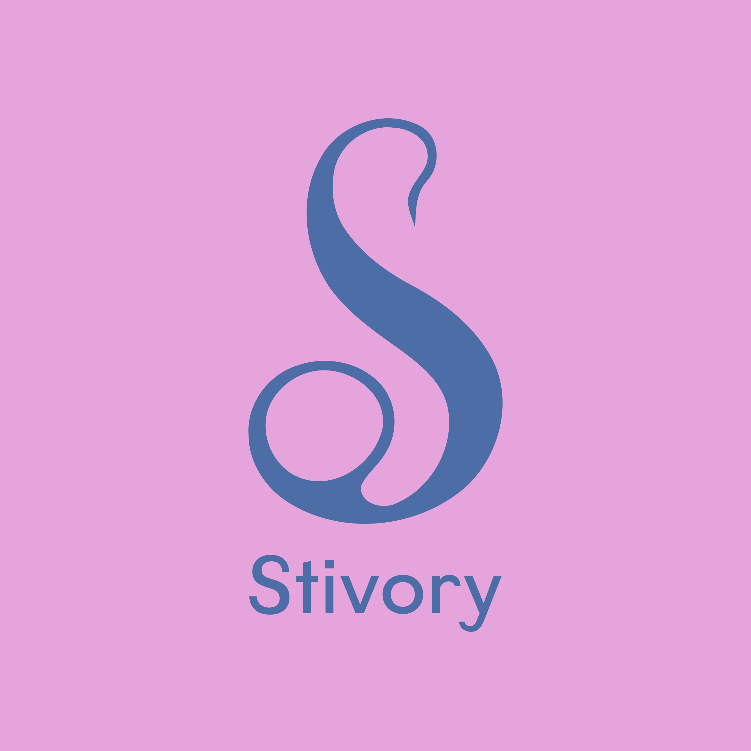 Company logo «Stivory»