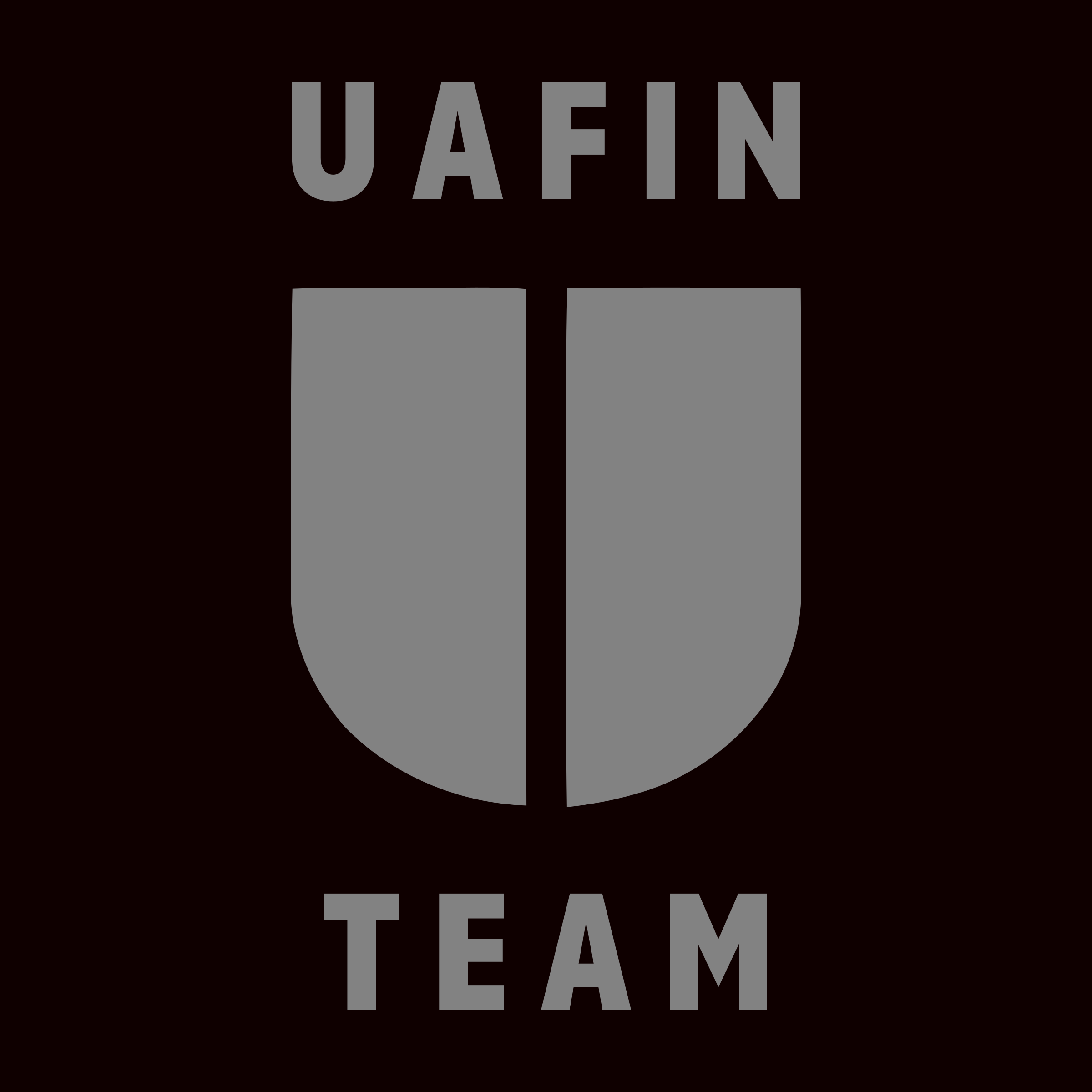Company logo «UAFIN TEAM»