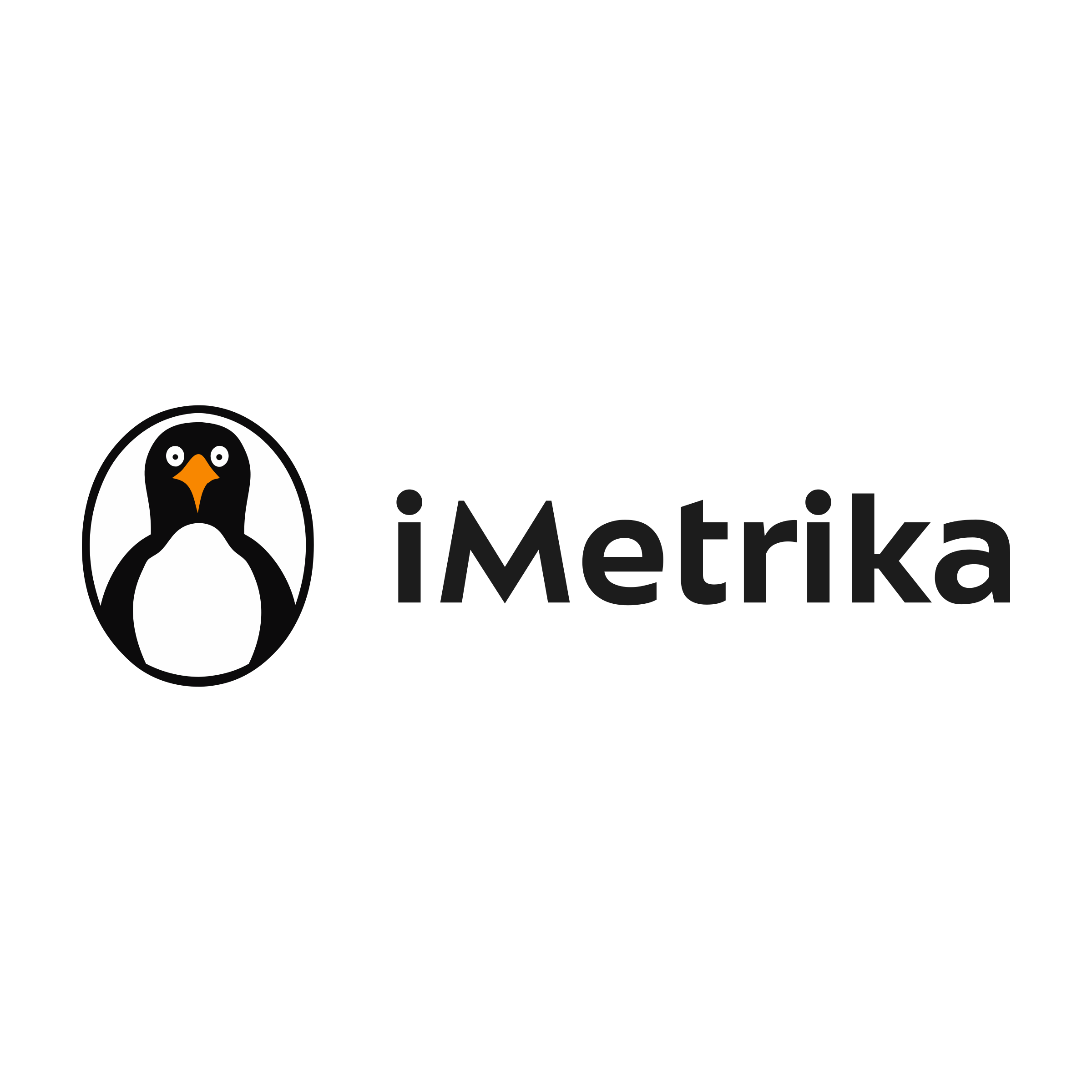 Company logo «iMetrika»