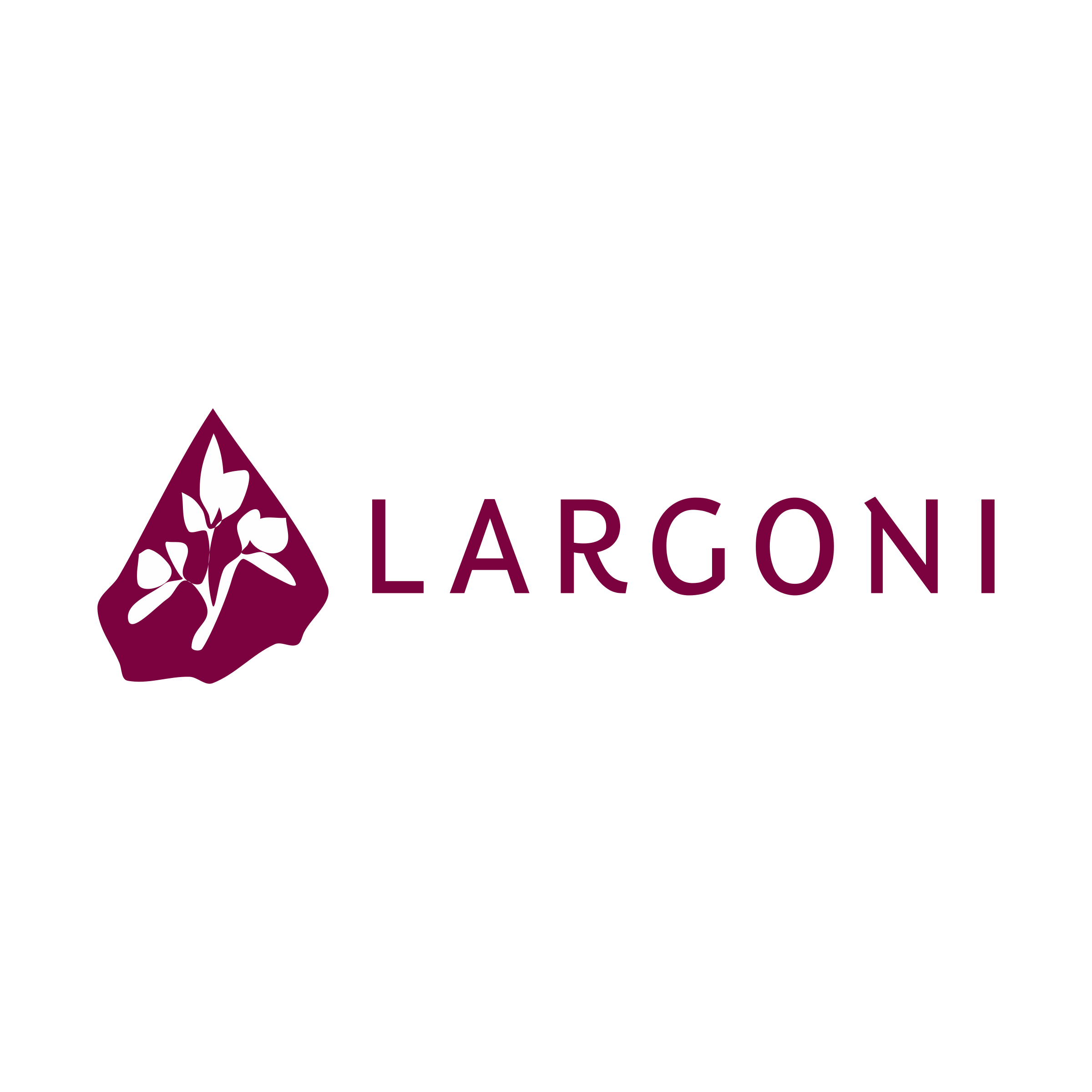 Company logo «LARGONI»