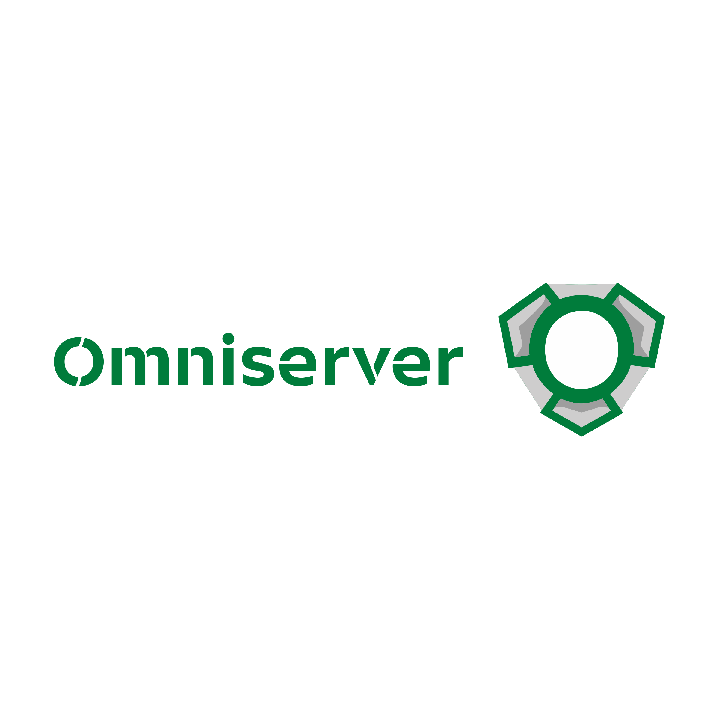 Company logo «Omniserver»