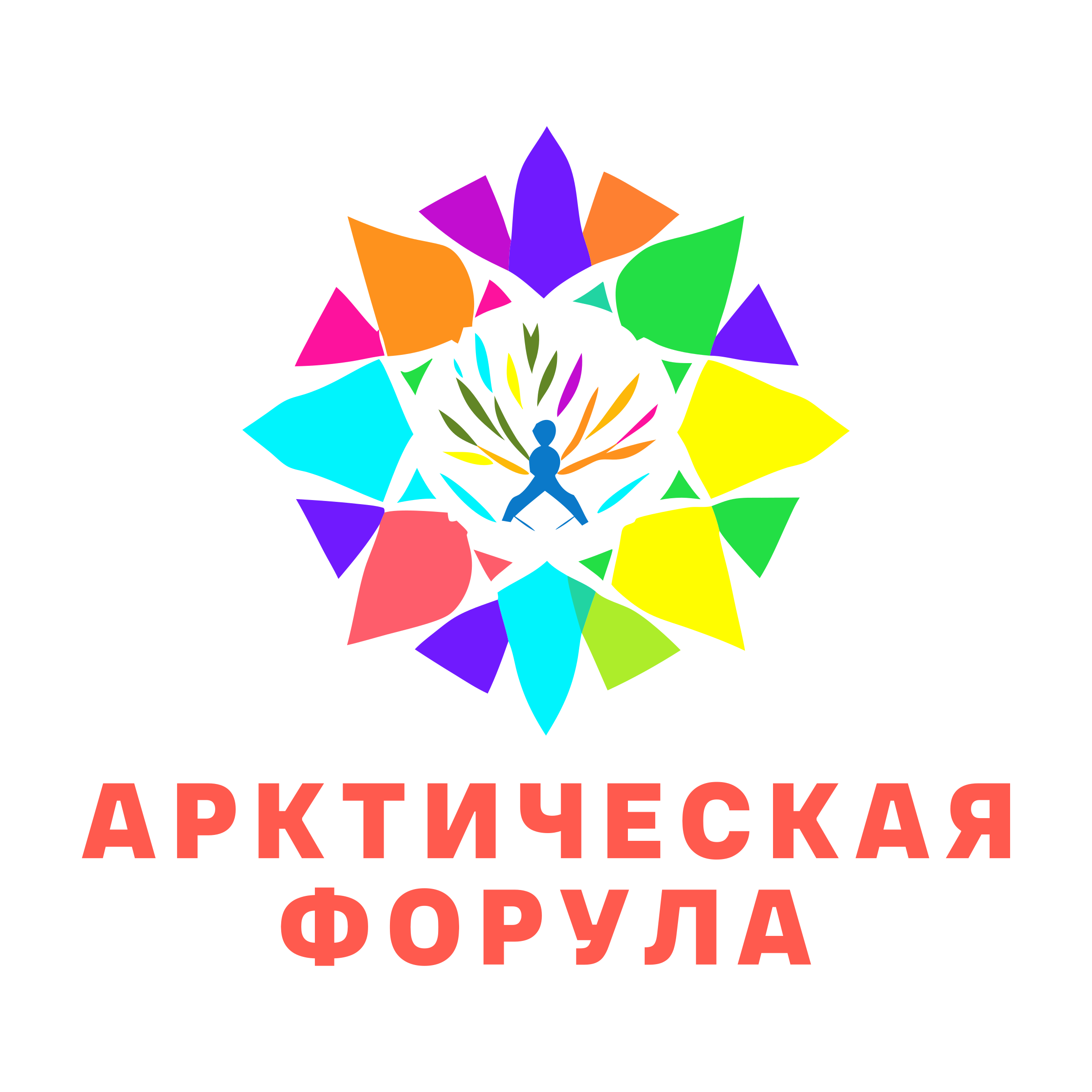 Логотип компании «Арктическая форула»