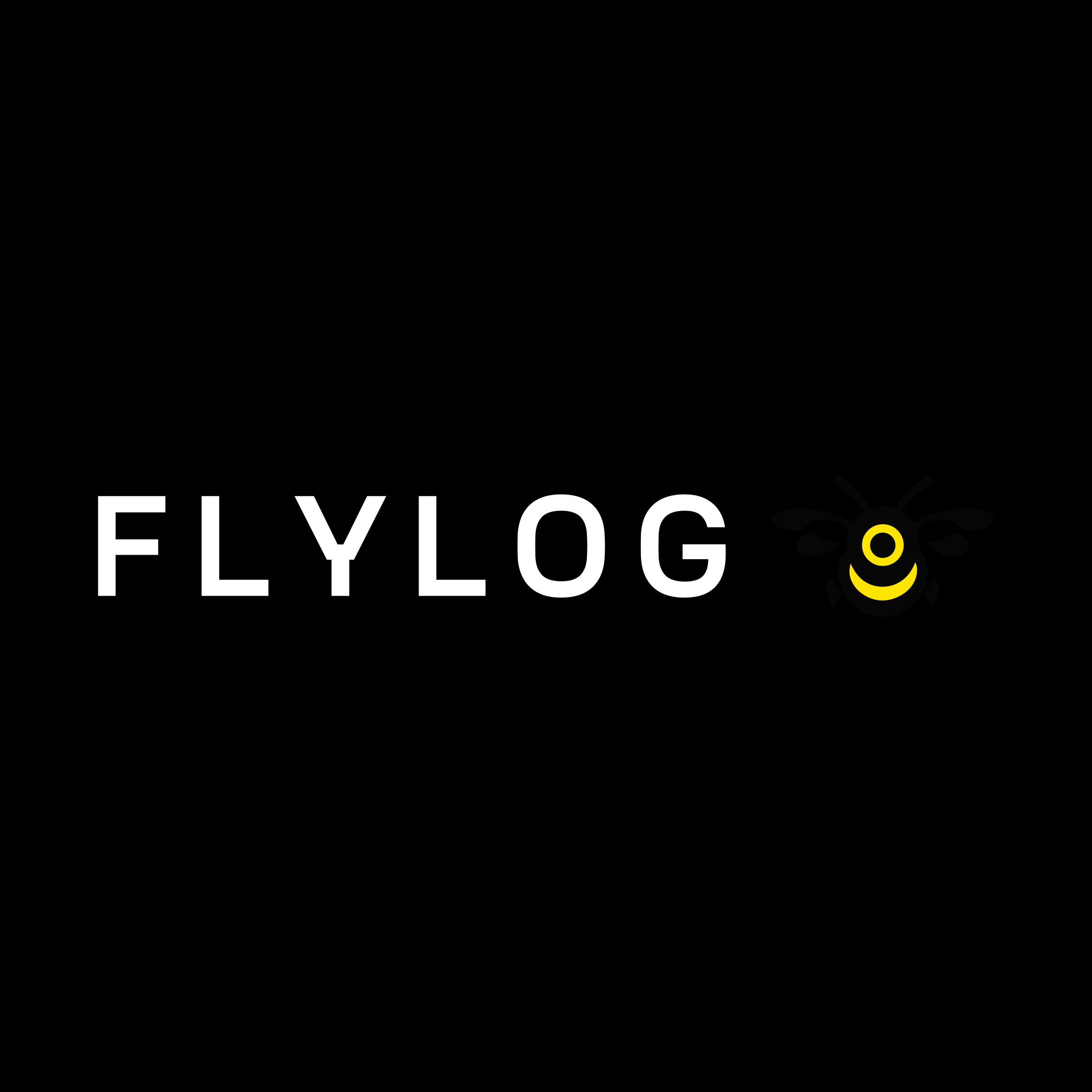 Логотип компании «Flylog»