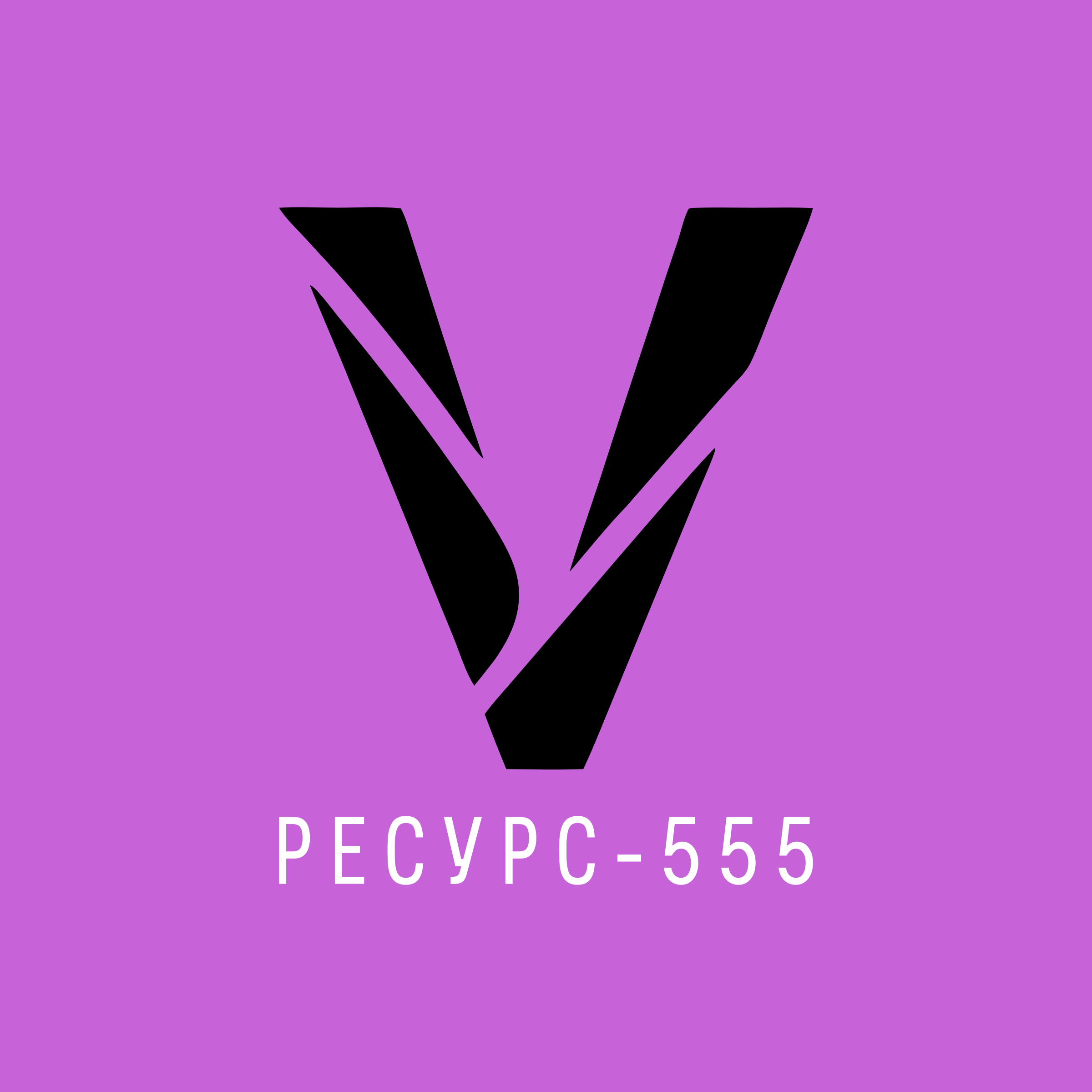 Логотип компании «РЕСУРС-555»