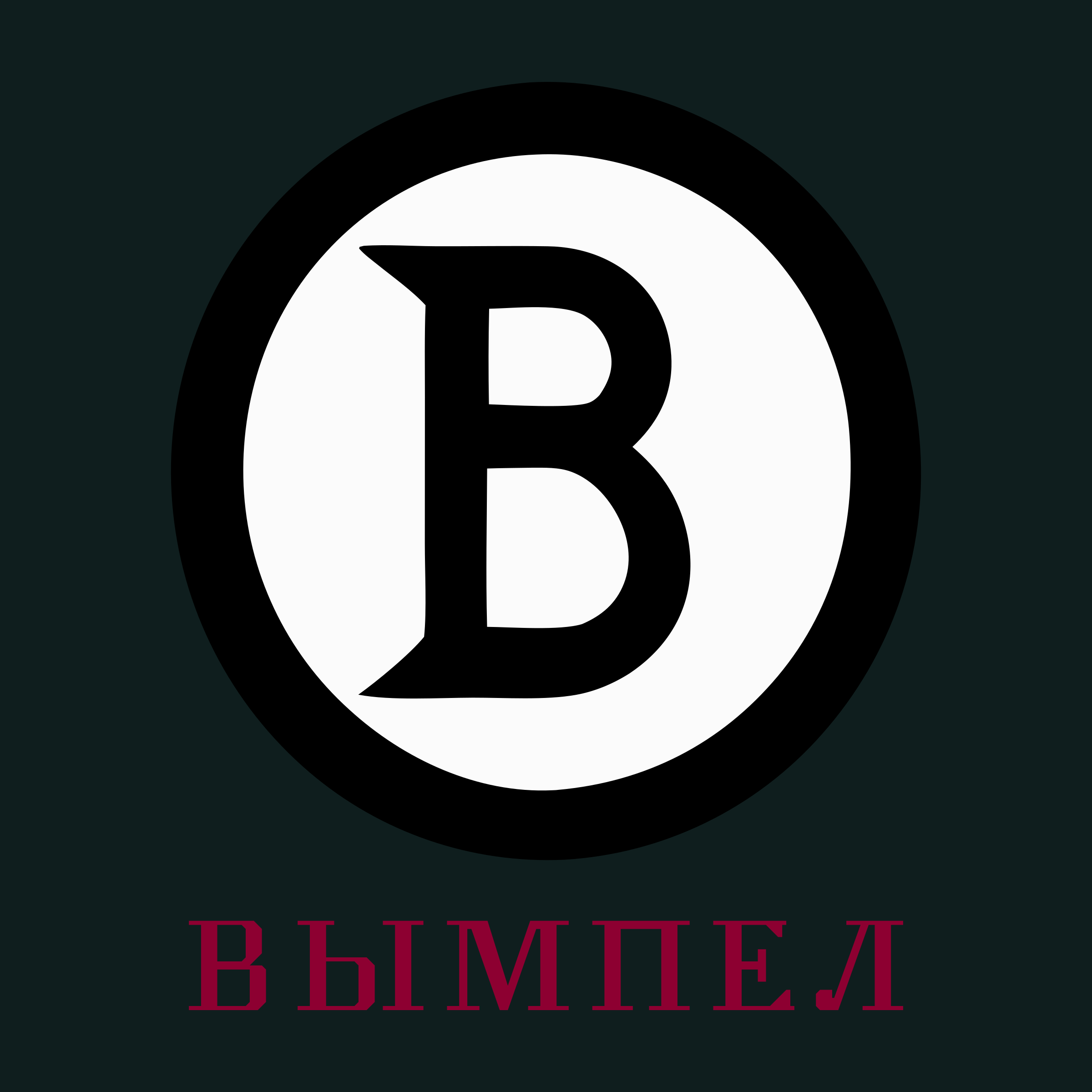 Логотип компании «Вымпел»