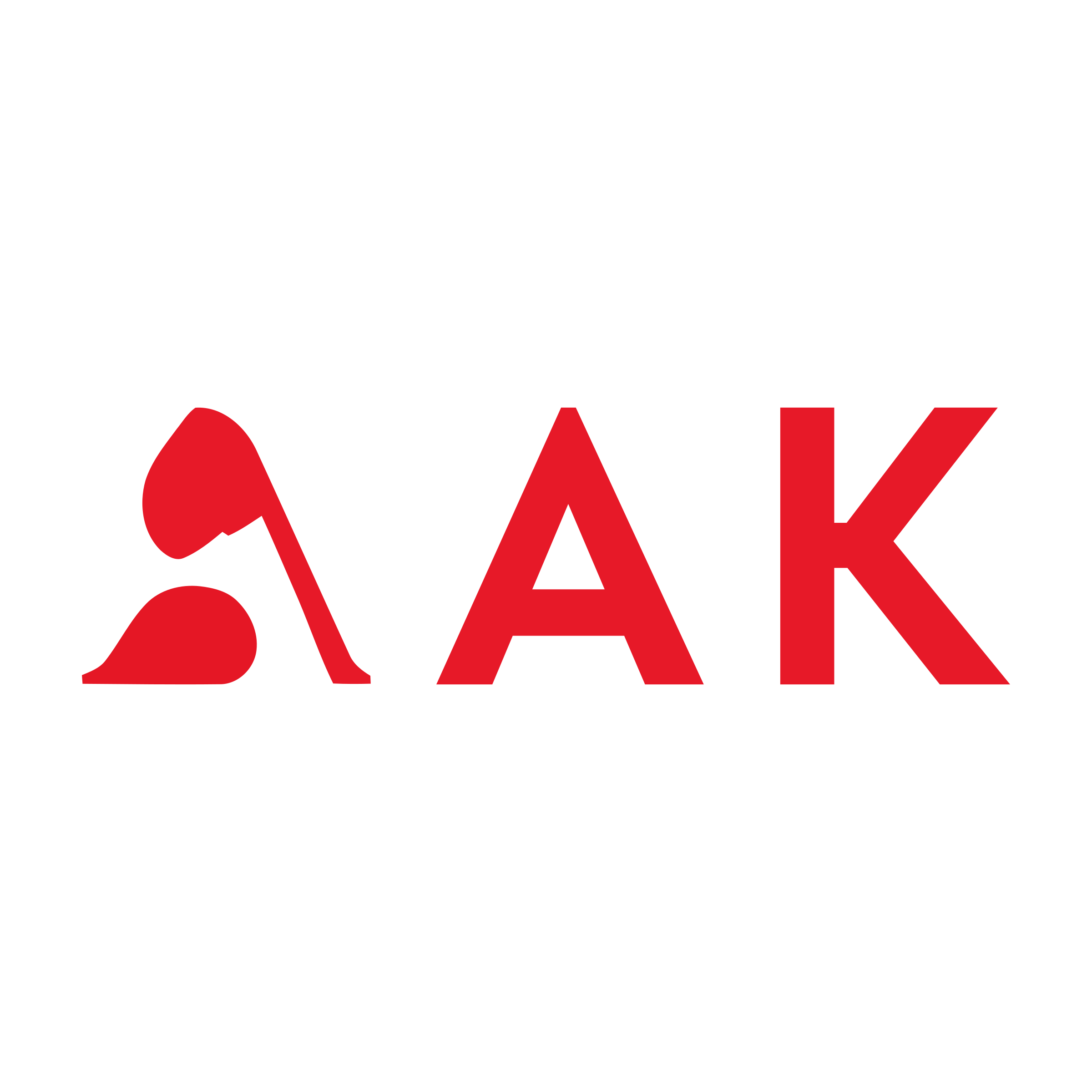 Логотип компании «АК»