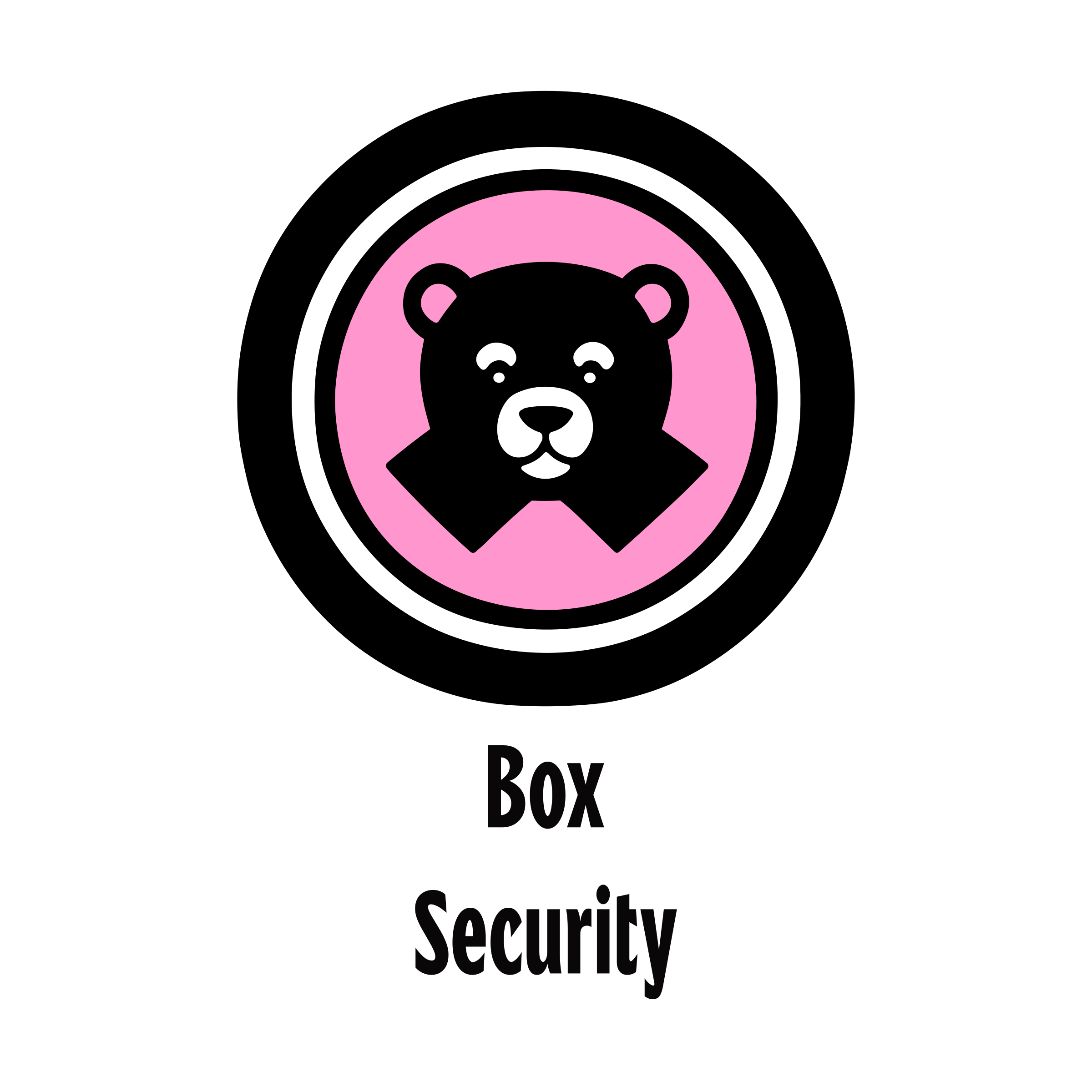 Company logo «Box Security»