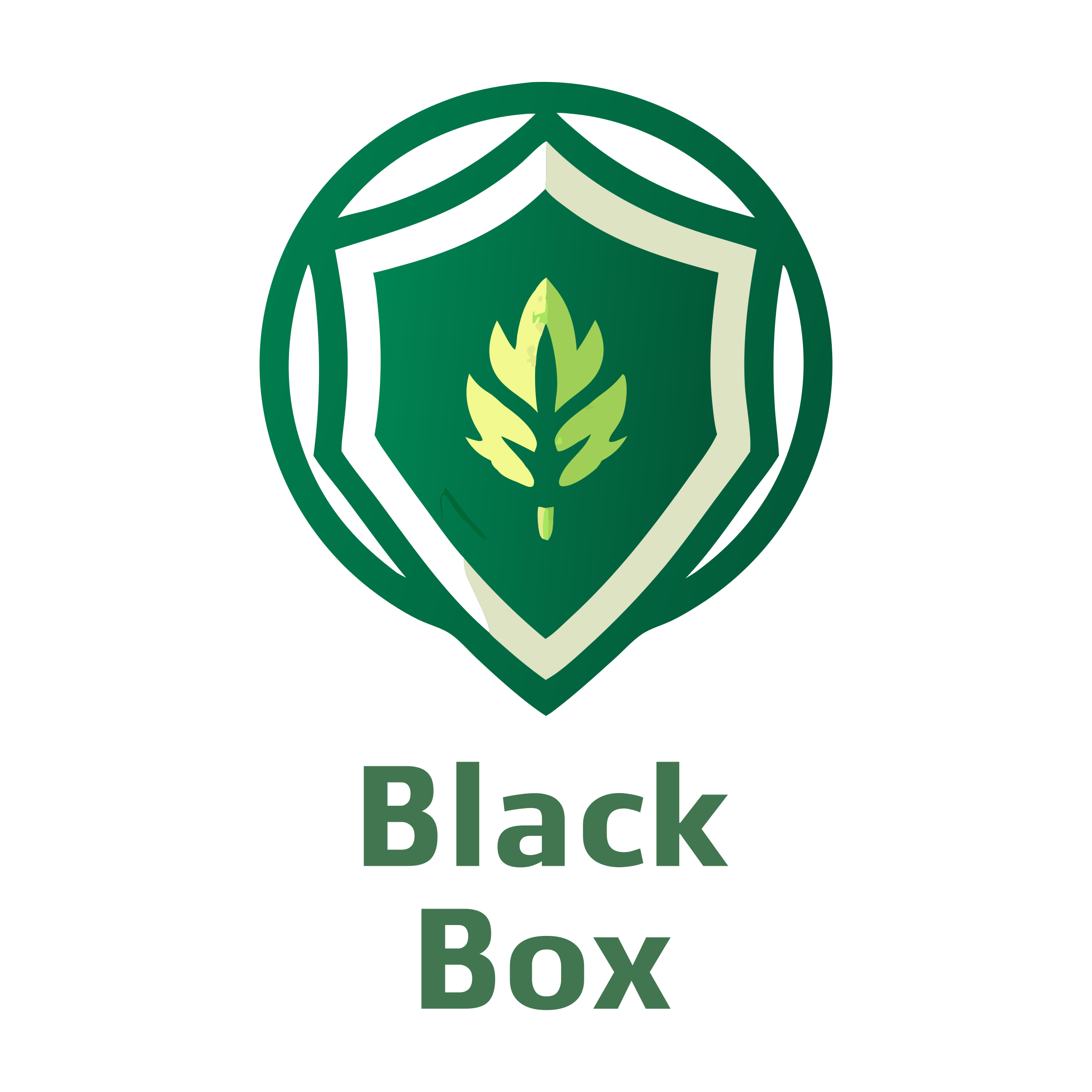 Company logo «Black Box»
