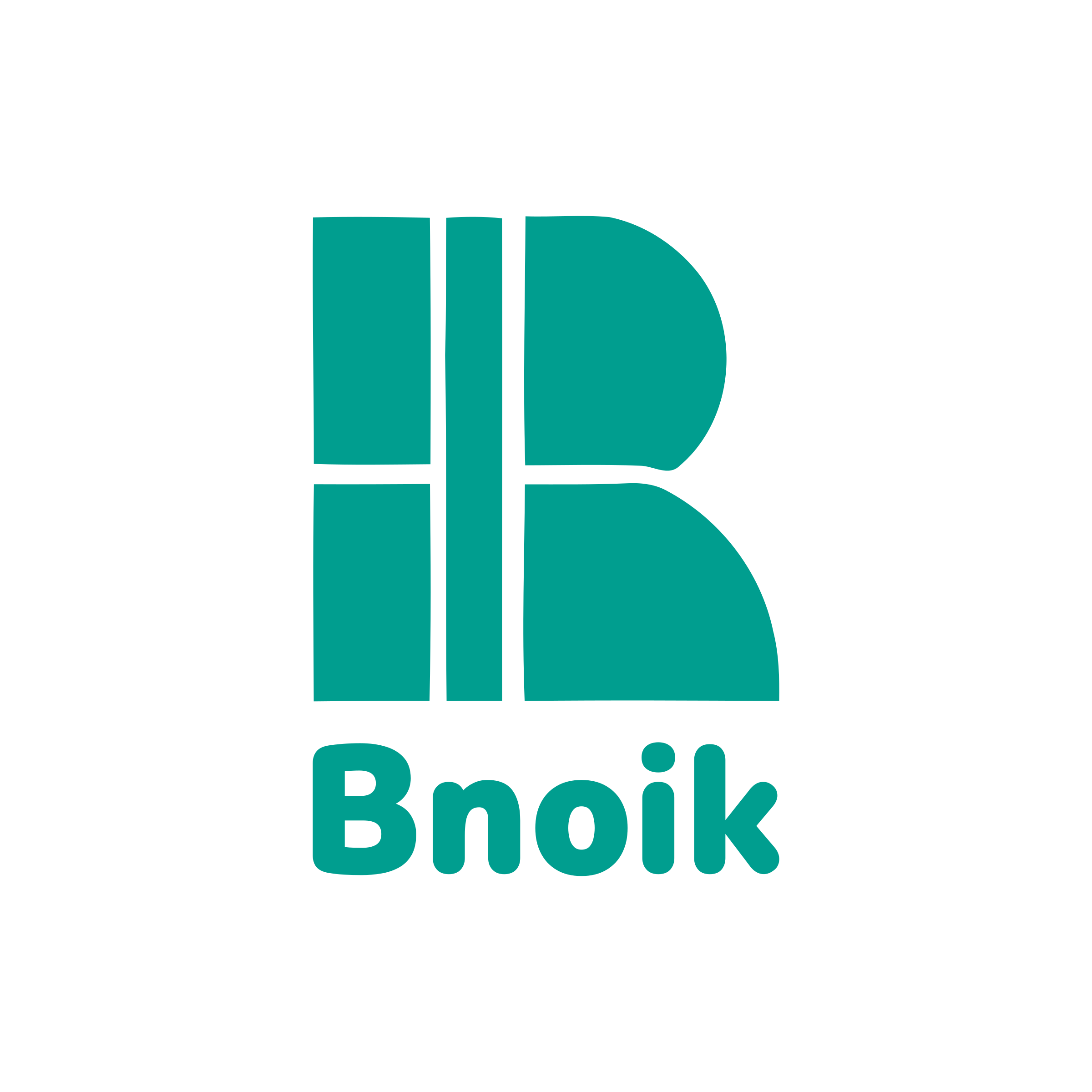 Логотип компании «Bnoik»