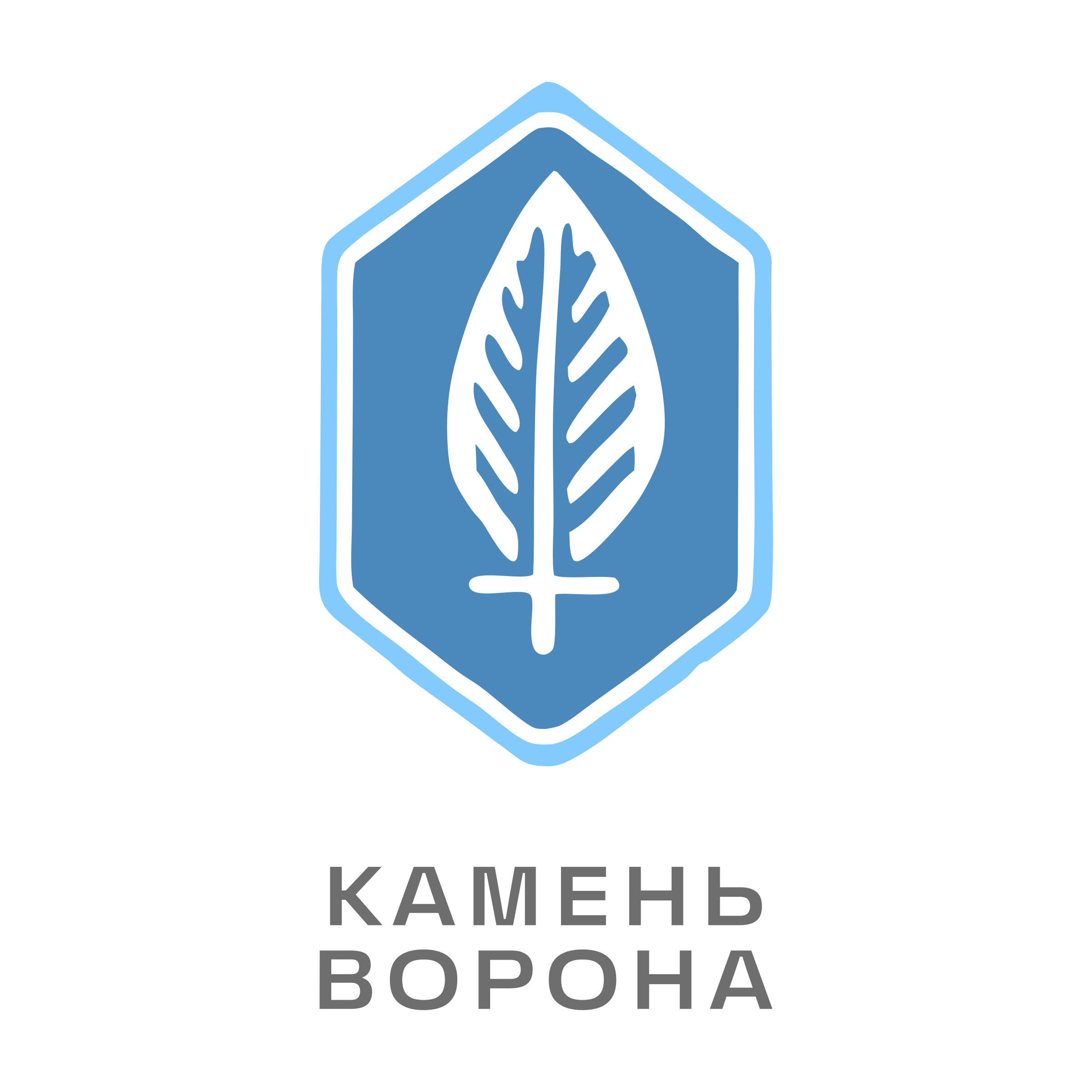 Логотип компании «Камень ворона»